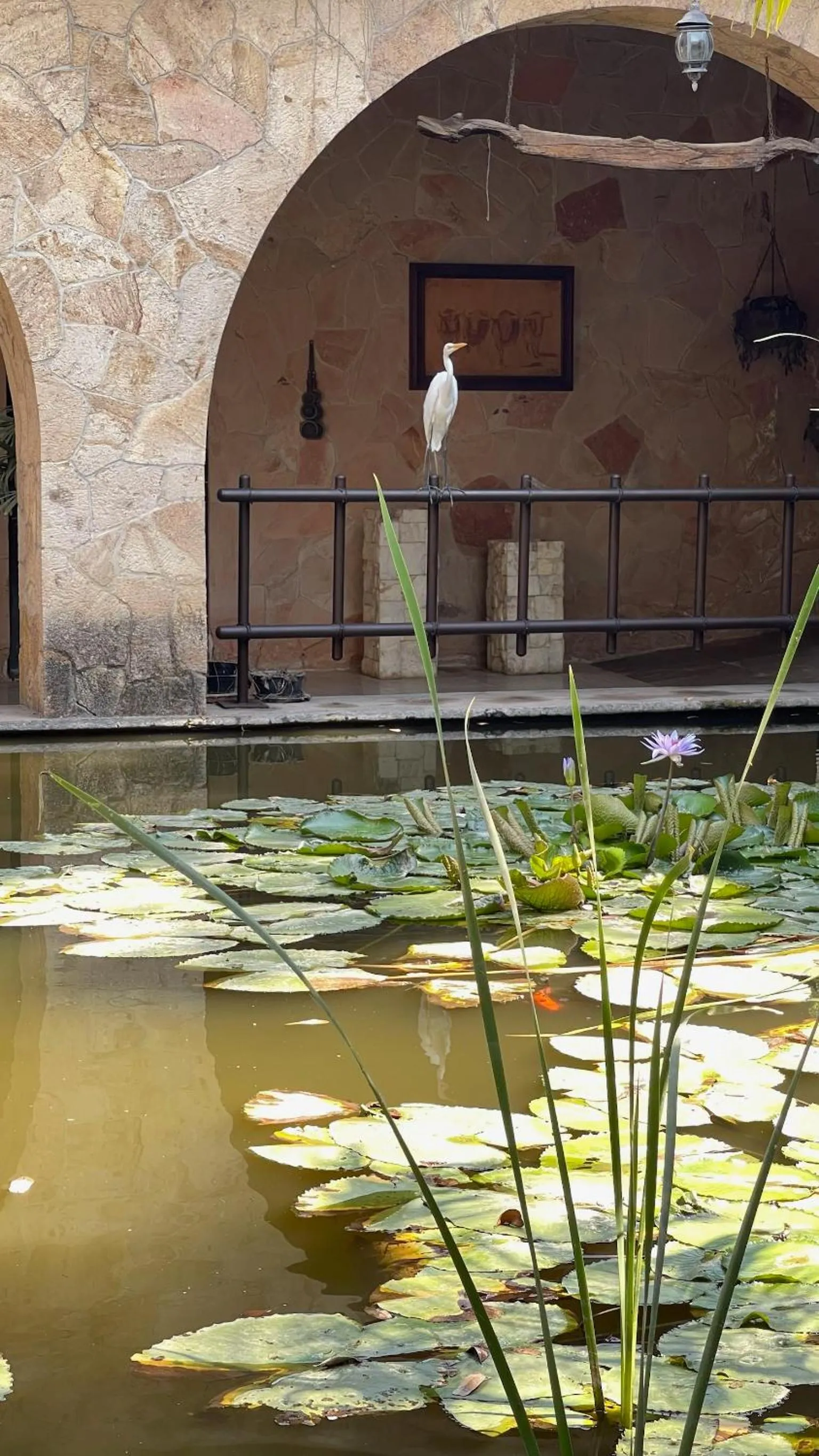 Balcony/Terrace in Rancho Agua Salada