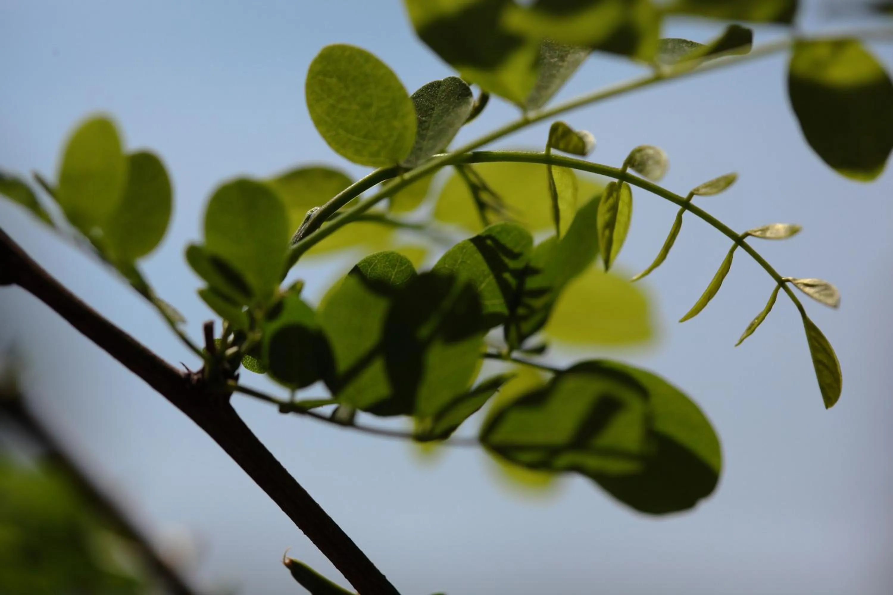 Off site in Fufu Kawaguchiko