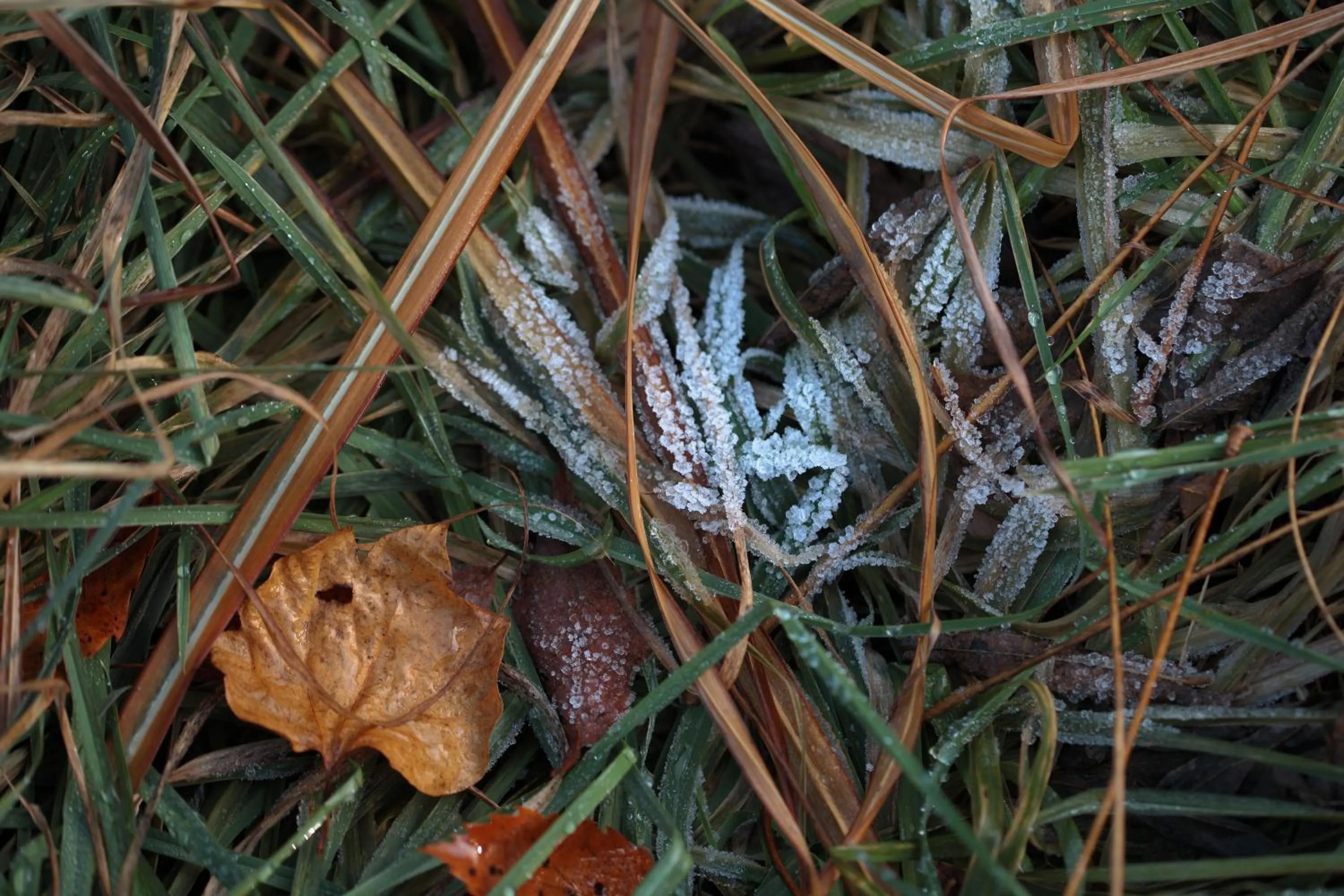 Off site in Fufu Kawaguchiko