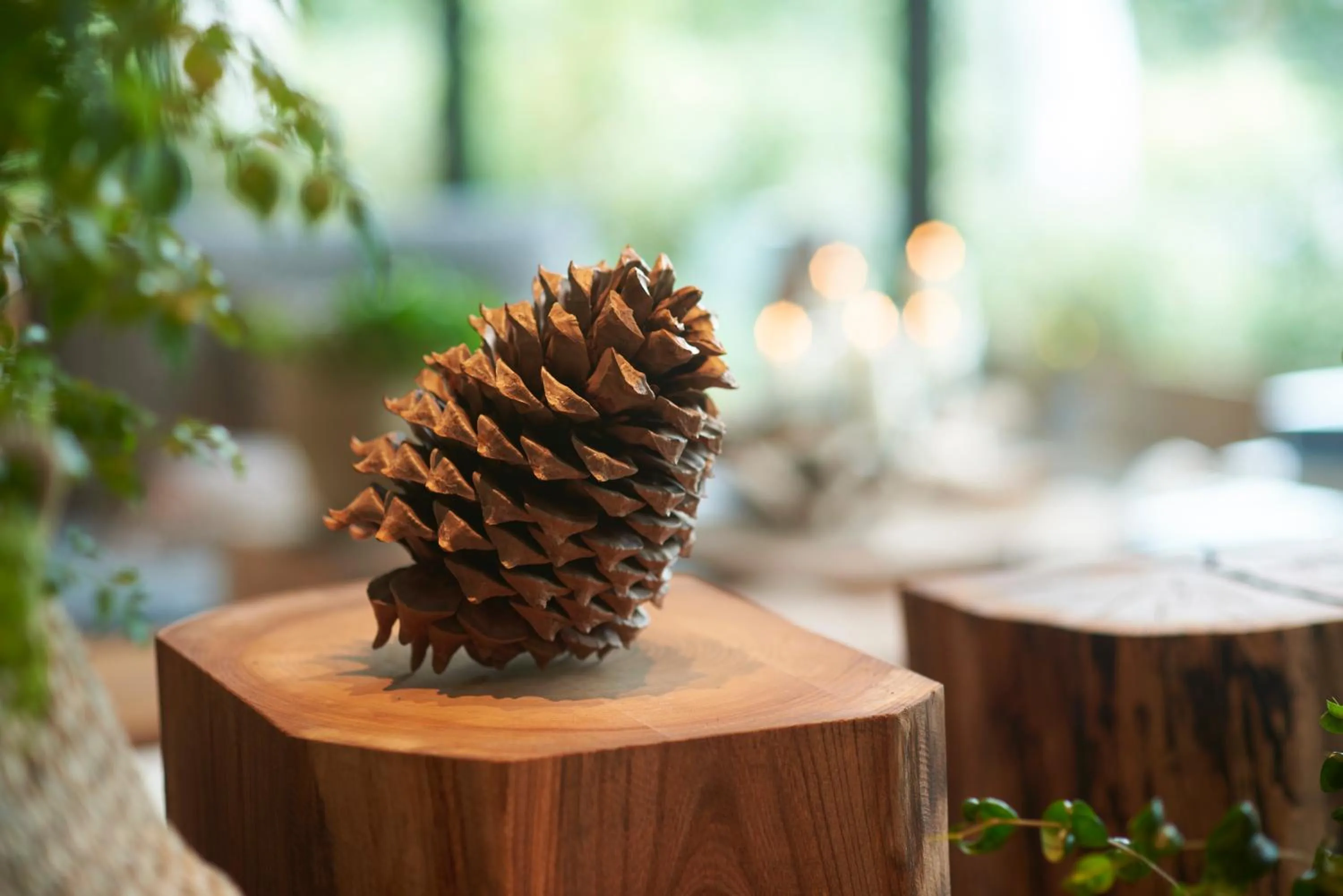 Lobby or reception in Fufu Kawaguchiko