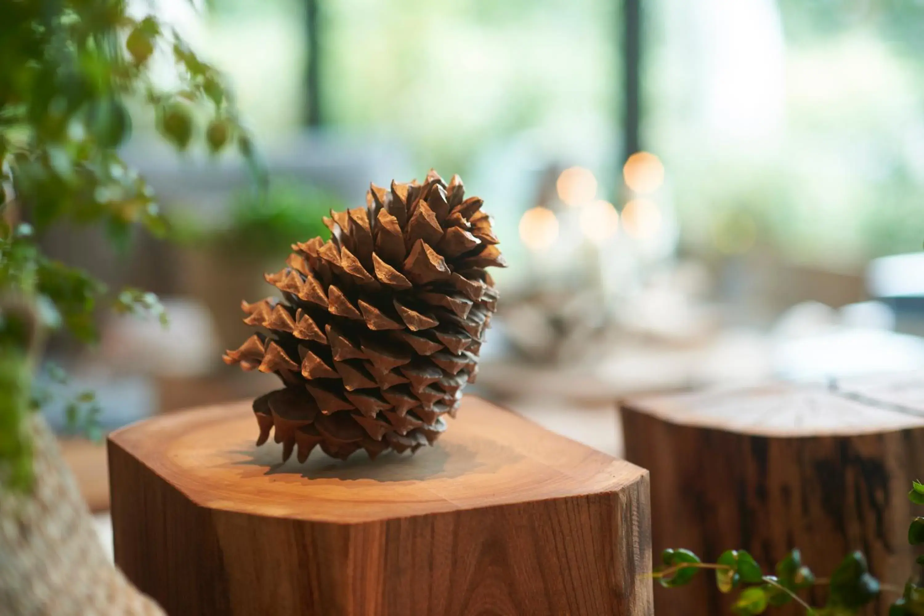 Lobby or reception in Fufu Kawaguchiko Lobby or reception in Fufu Kawaguchiko