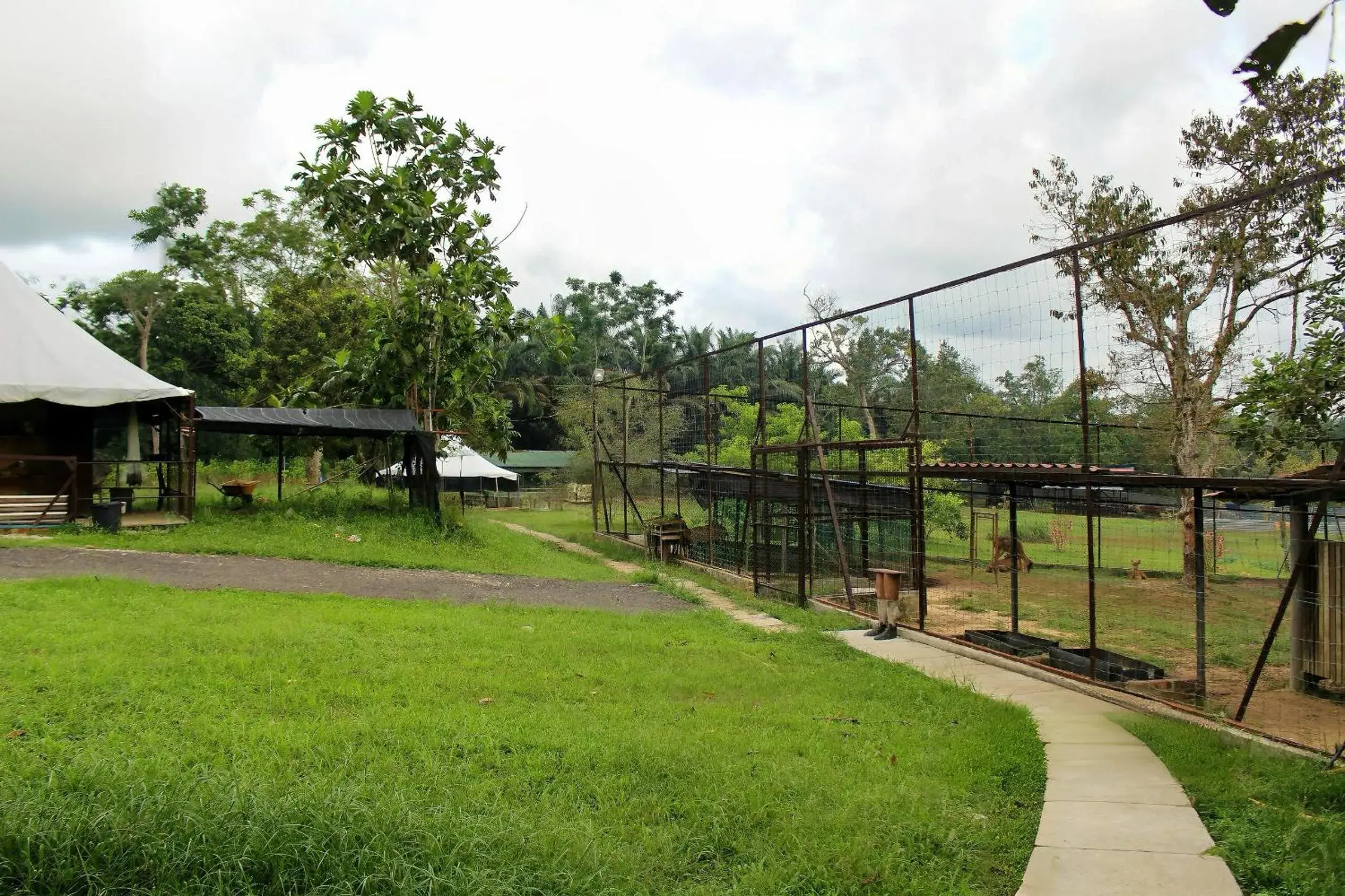 Garden in Savanna Hill Resort Garden in Savanna Hill Resort