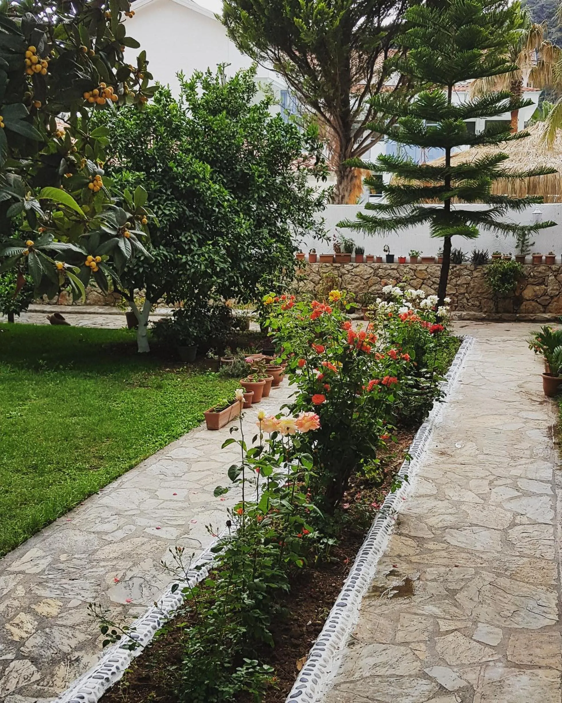 Garden in İlkiz Beach Hotel