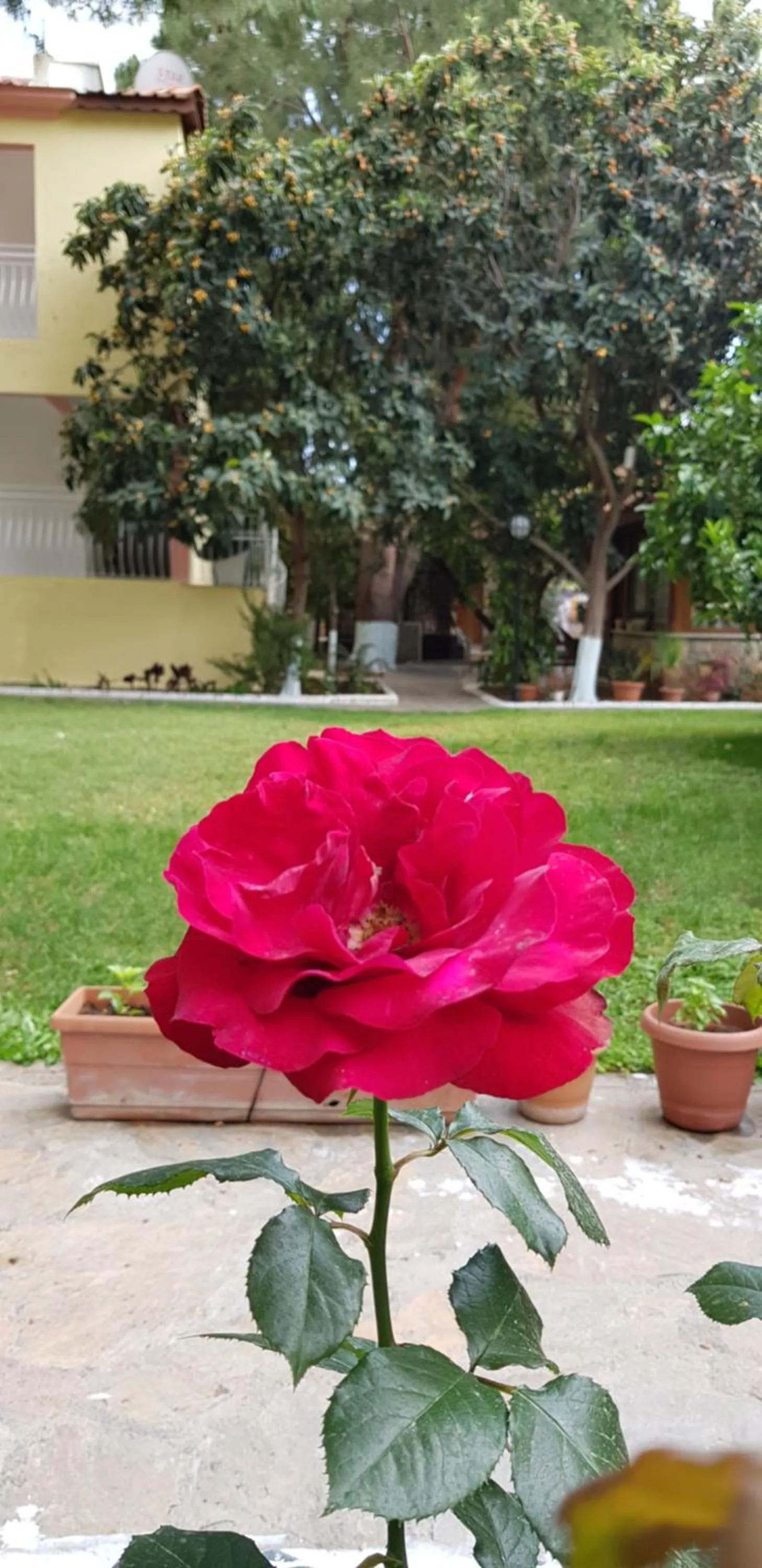 Garden in İlkiz Beach Hotel