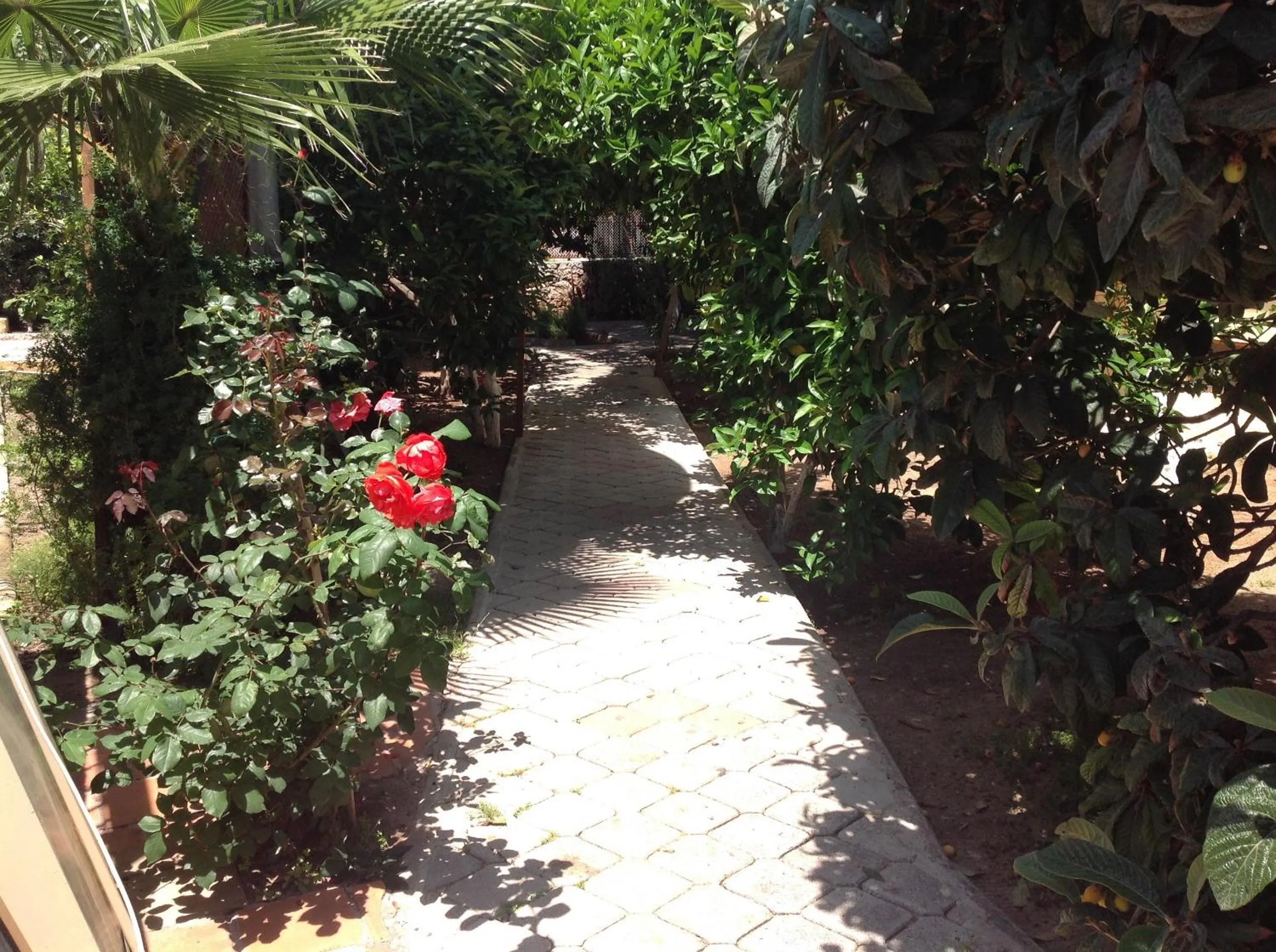 Garden in İlkiz Beach Hotel
