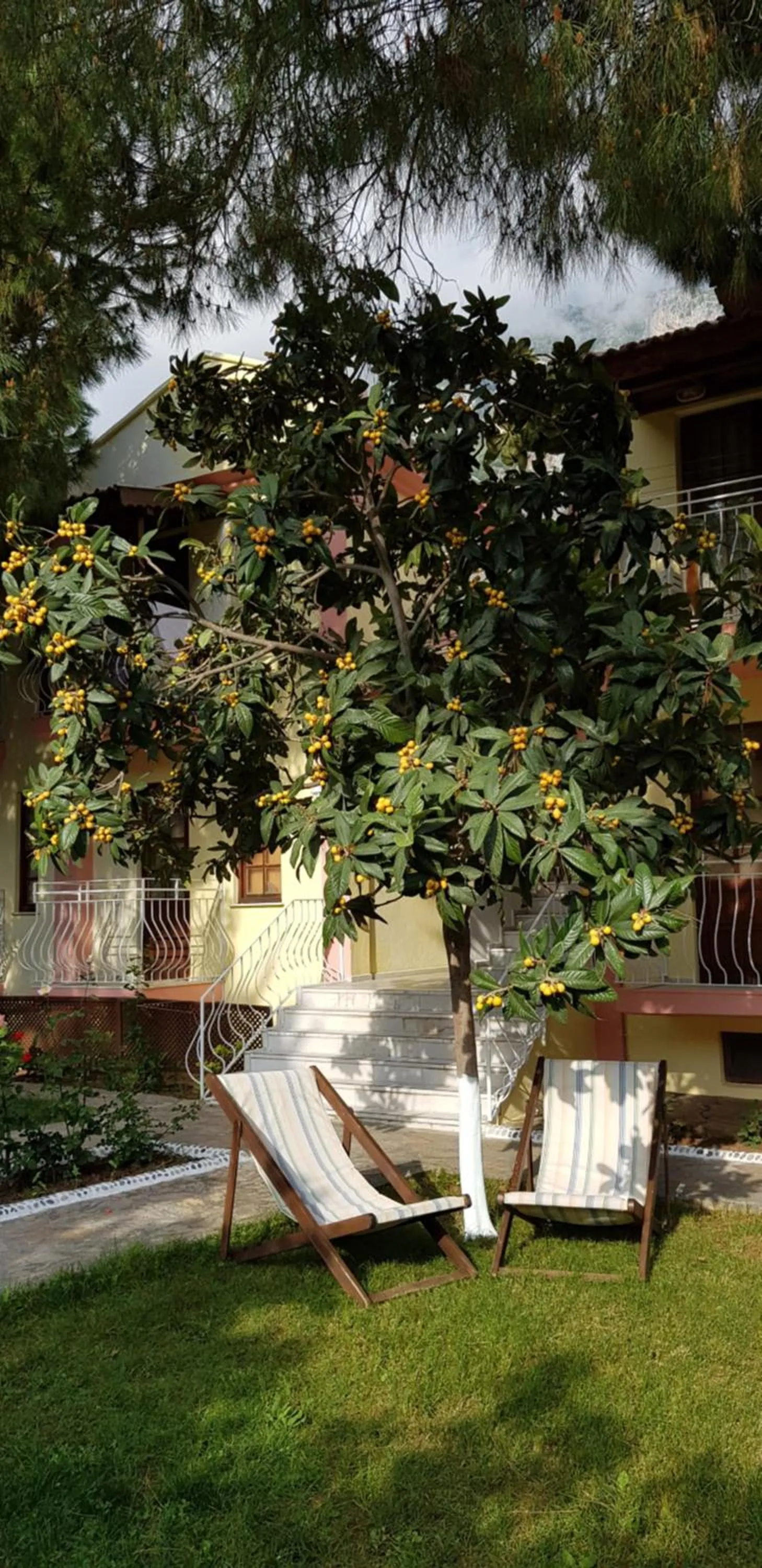 Garden view in İlkiz Beach Hotel