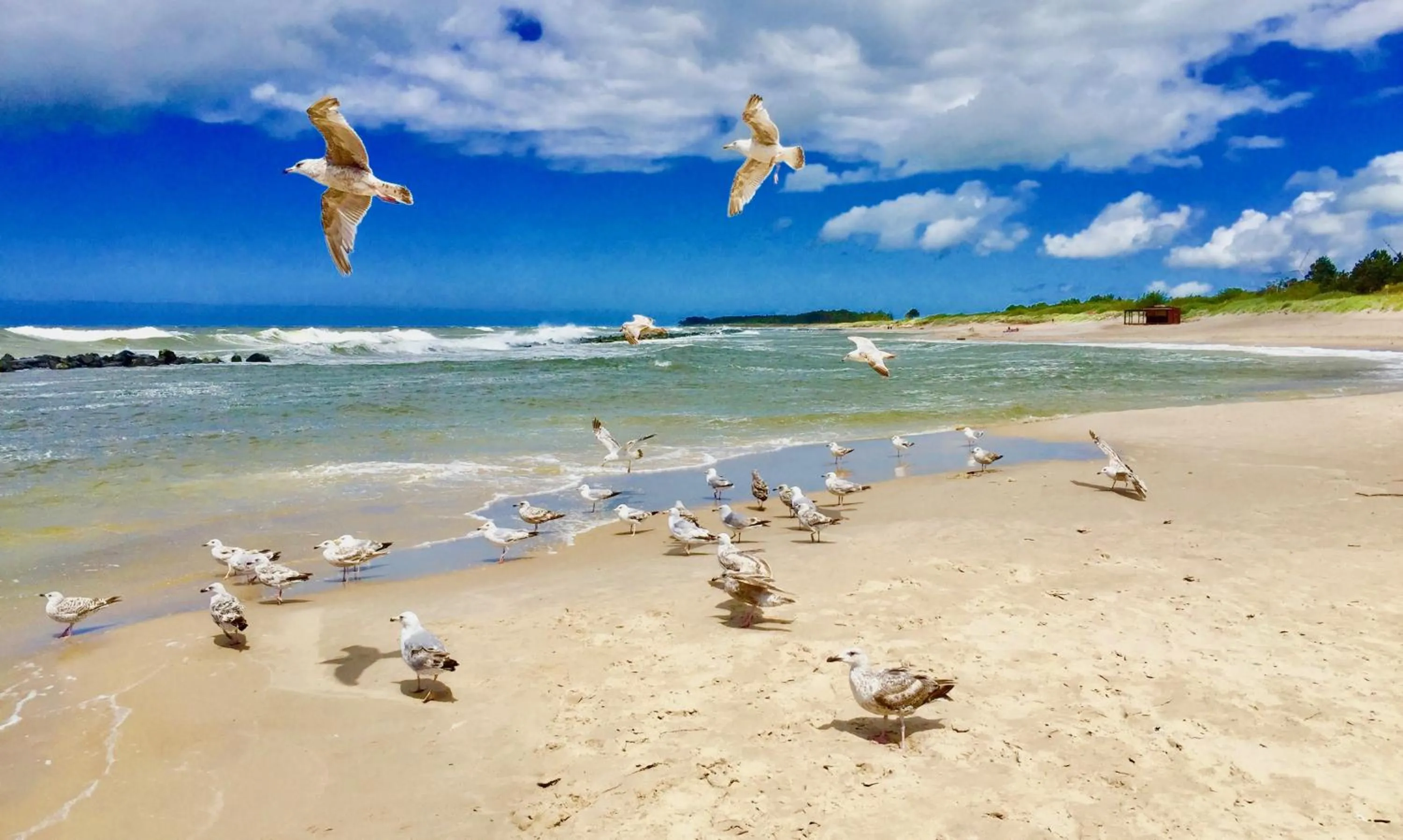 Beach in Apartamenty Marina z widokiem na morze