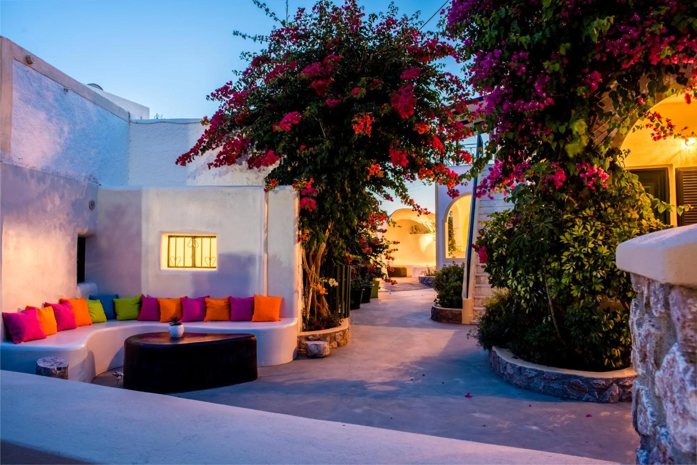 Garden in Studio Paul's