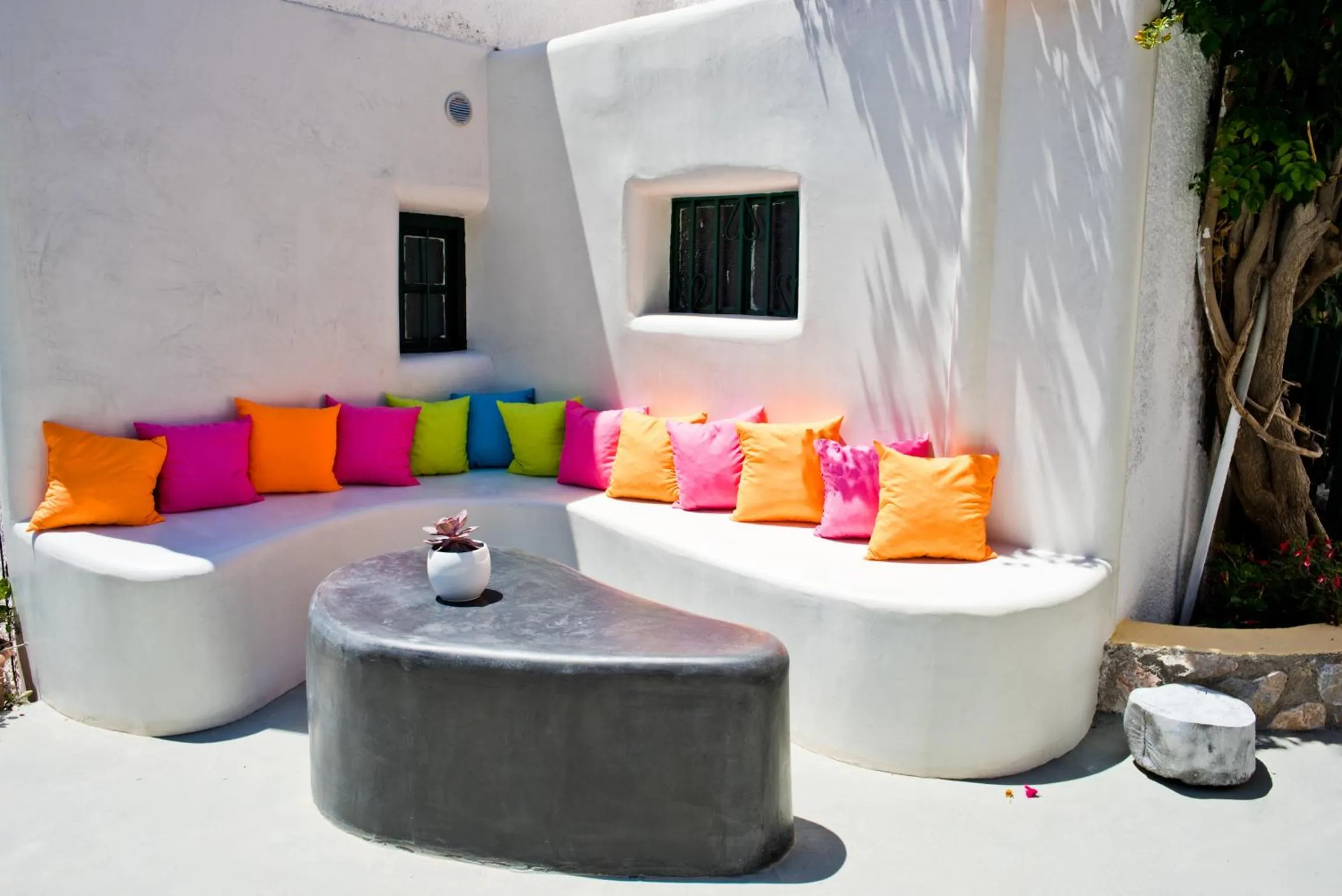 Garden in Studio Paul's