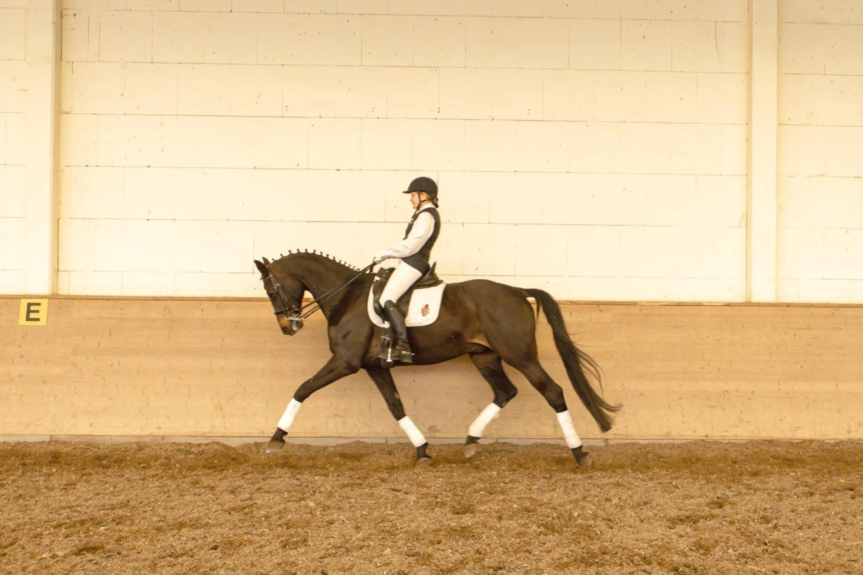 Horse-riding in Boutiquehotel Gut Tribbevitz auf Rügen