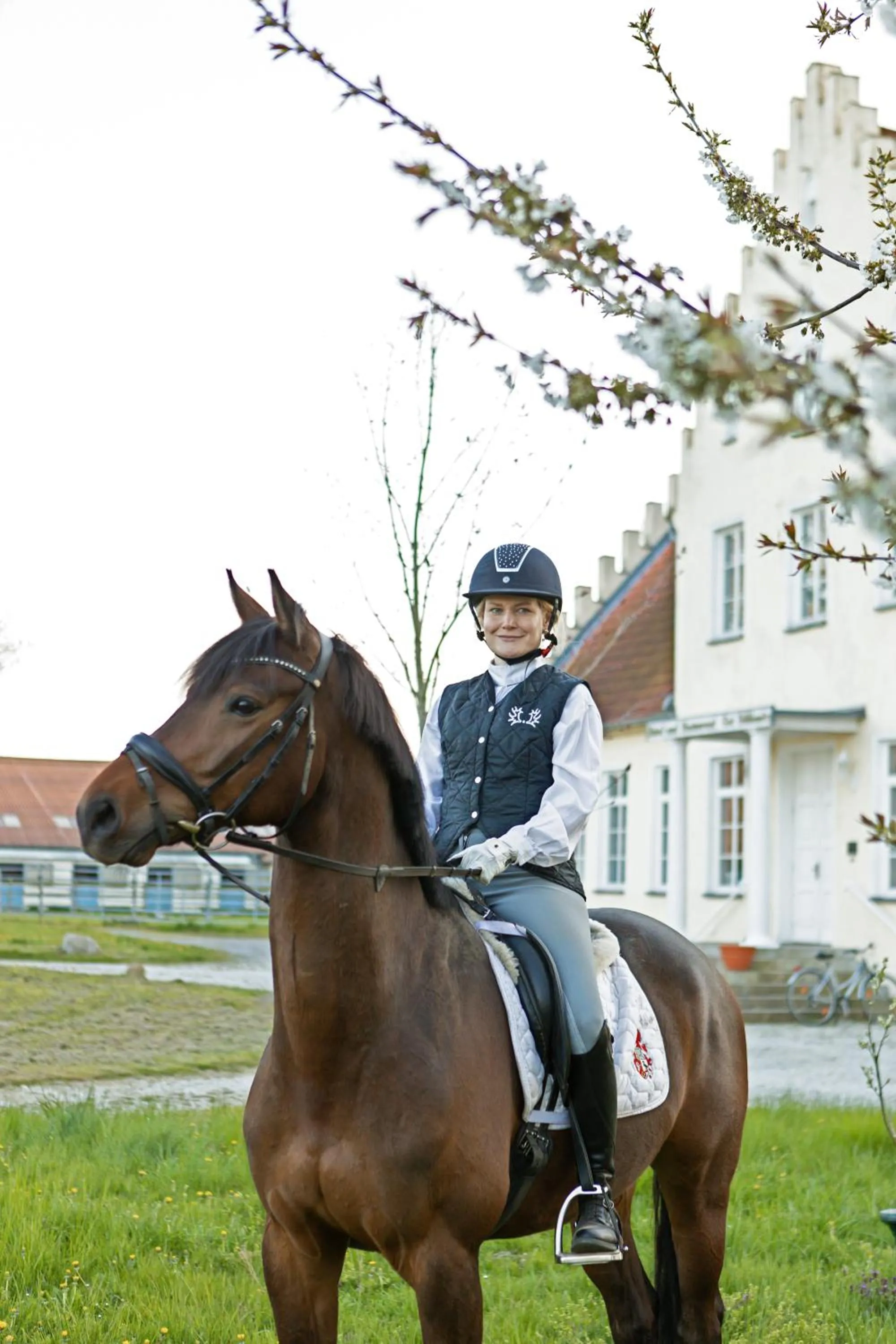 Horse-riding in Boutiquehotel Gut Tribbevitz auf Rügen