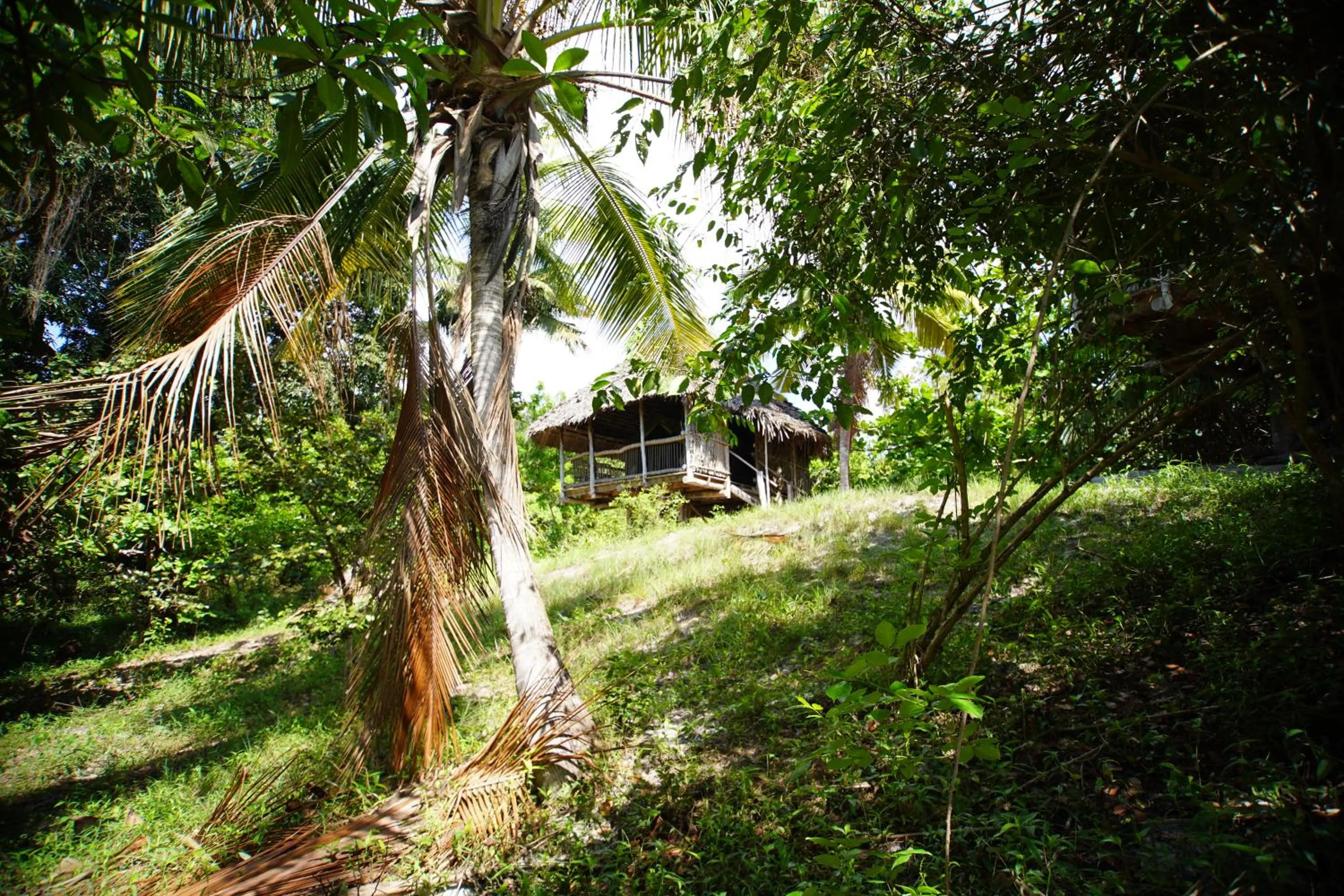 Garden view in Kitu Kiblu