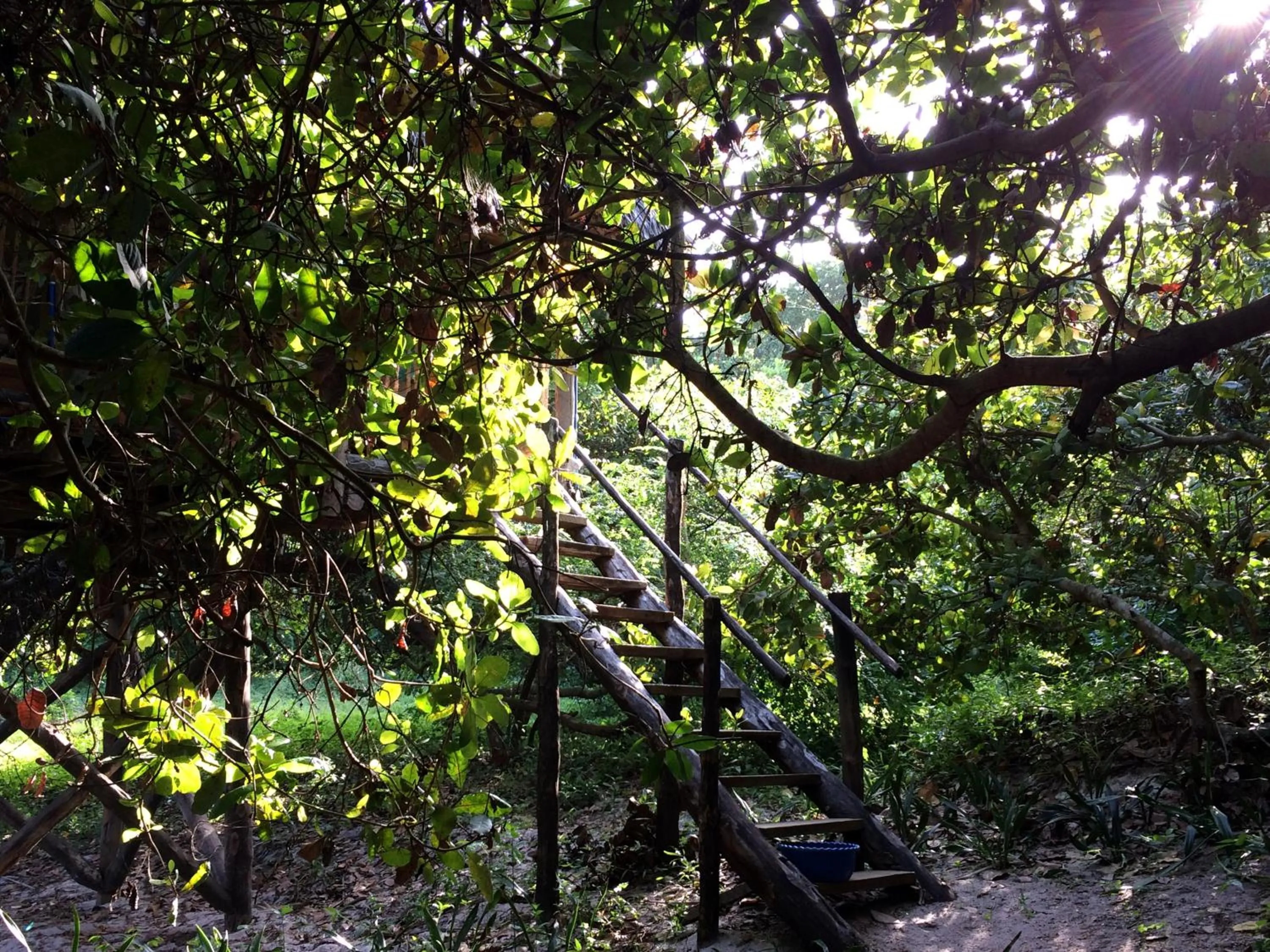 Garden view in Kitu Kiblu