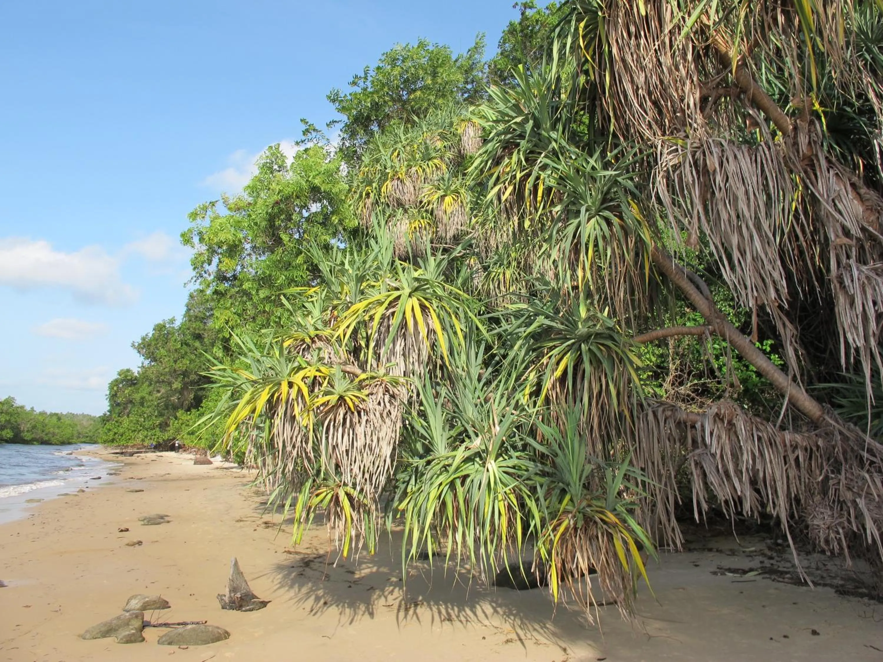 Kitu Kiblu