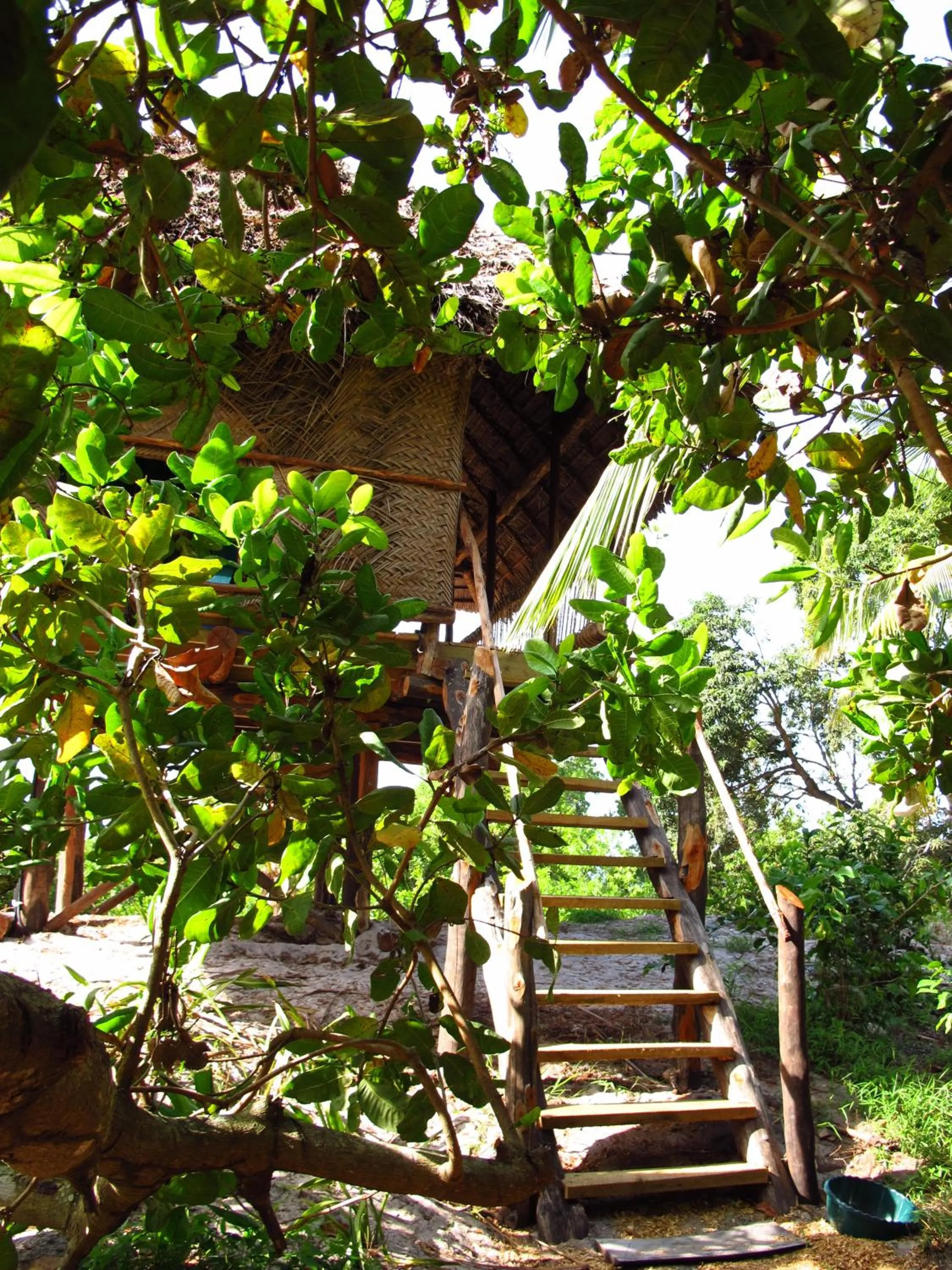 Garden in Kitu Kiblu