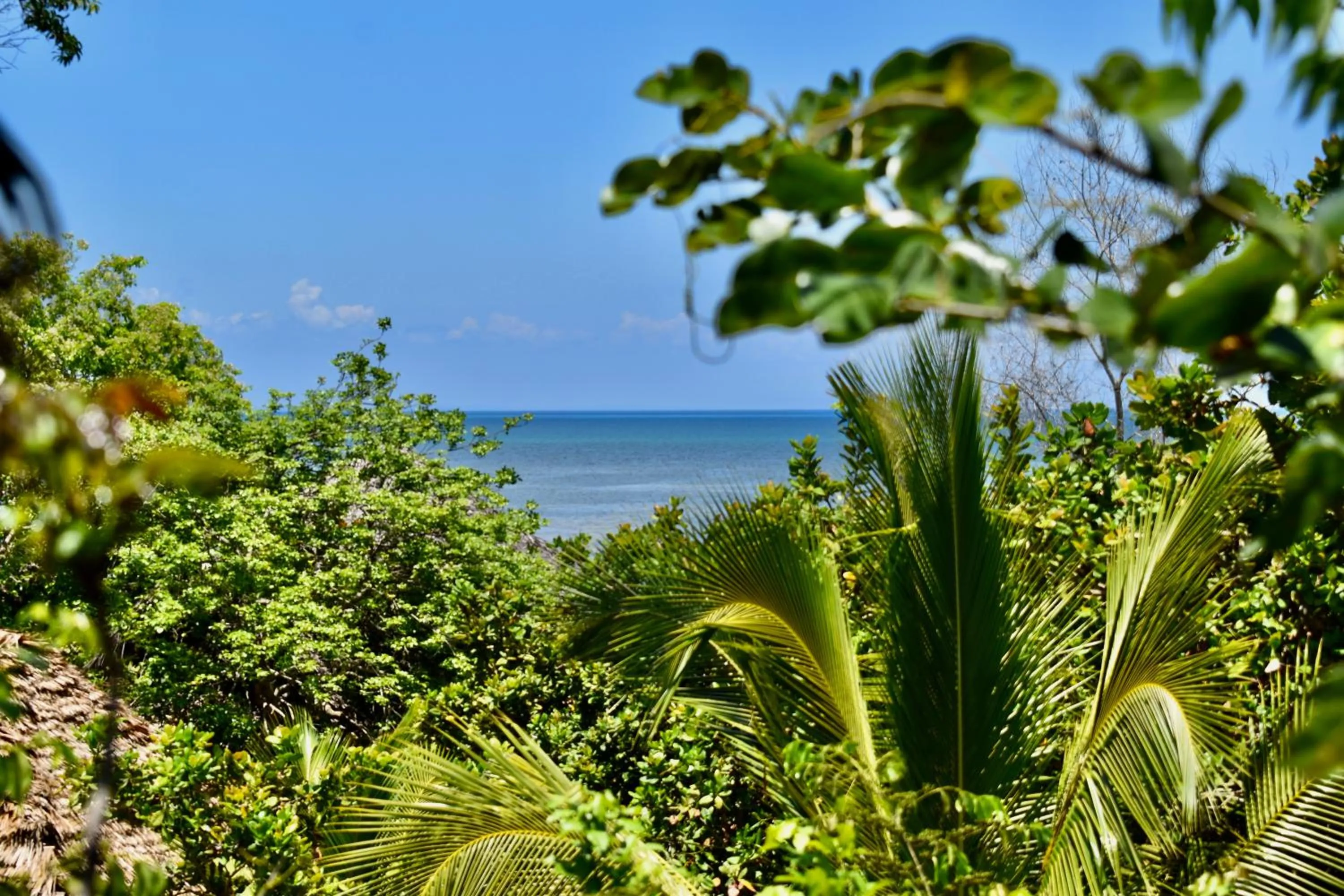 Sea view in Kitu Kiblu