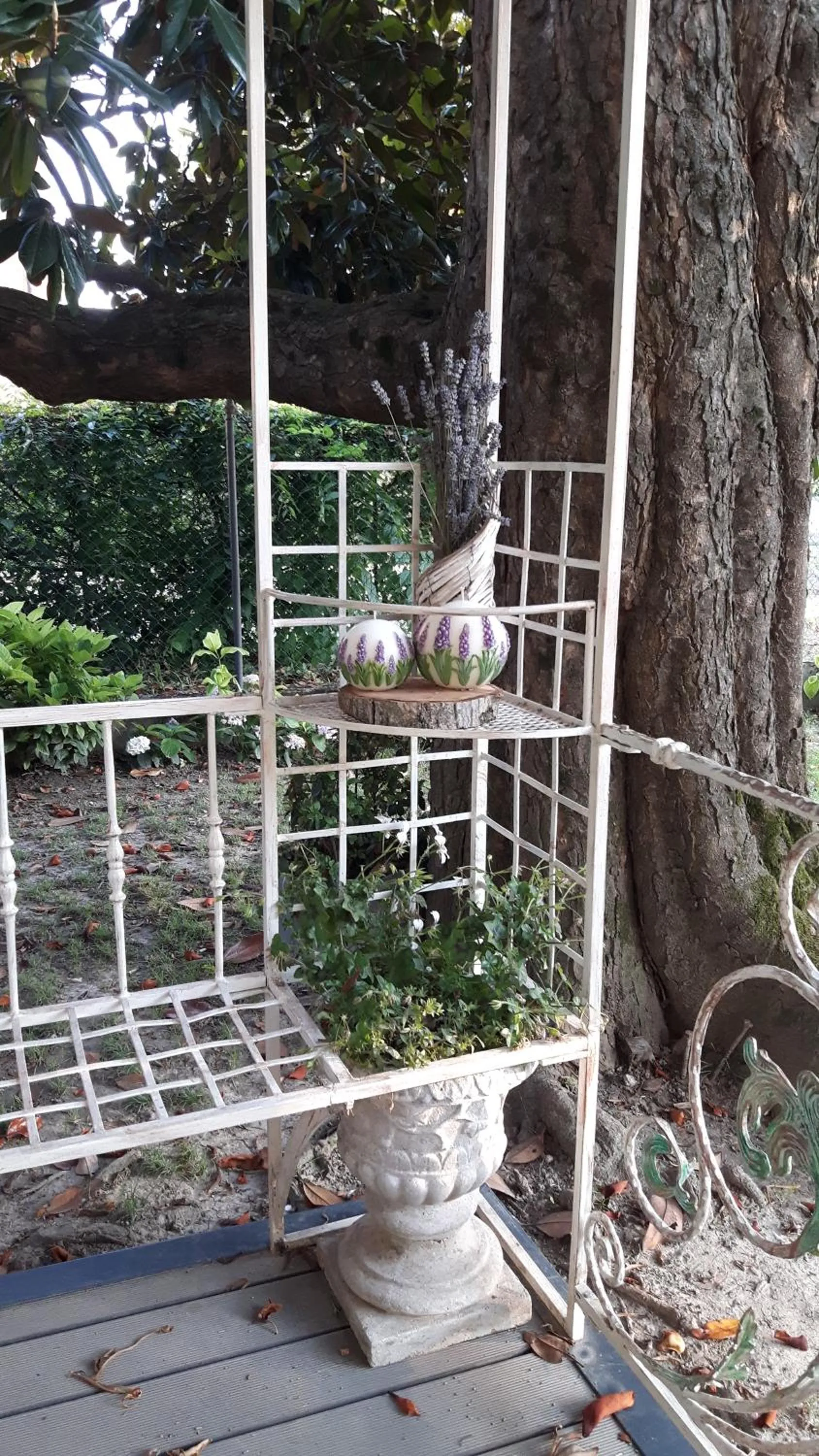 Garden in Maison Elena