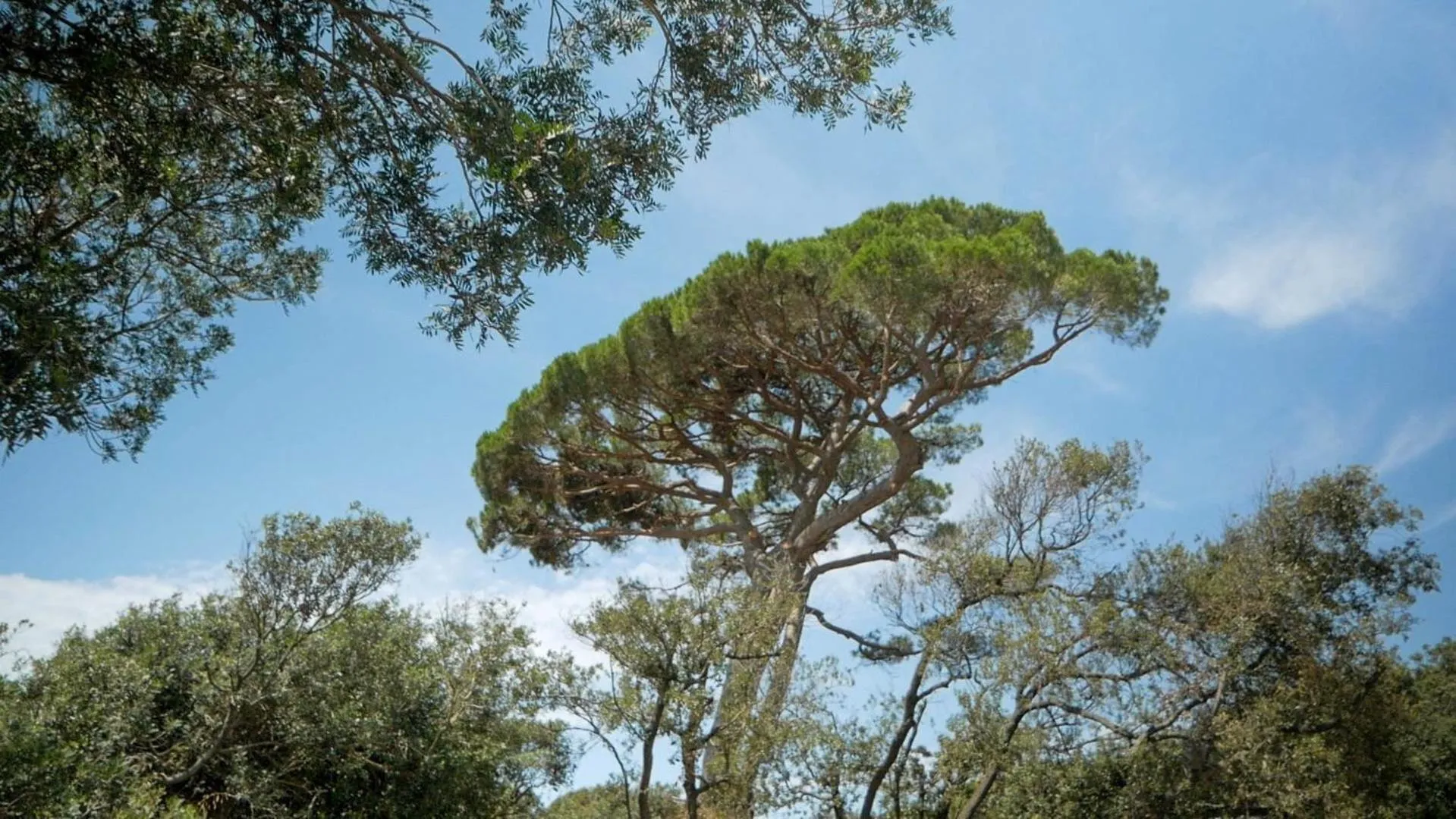 Property building in The Sense Experience Resort - Preferred Hotels & Resorts