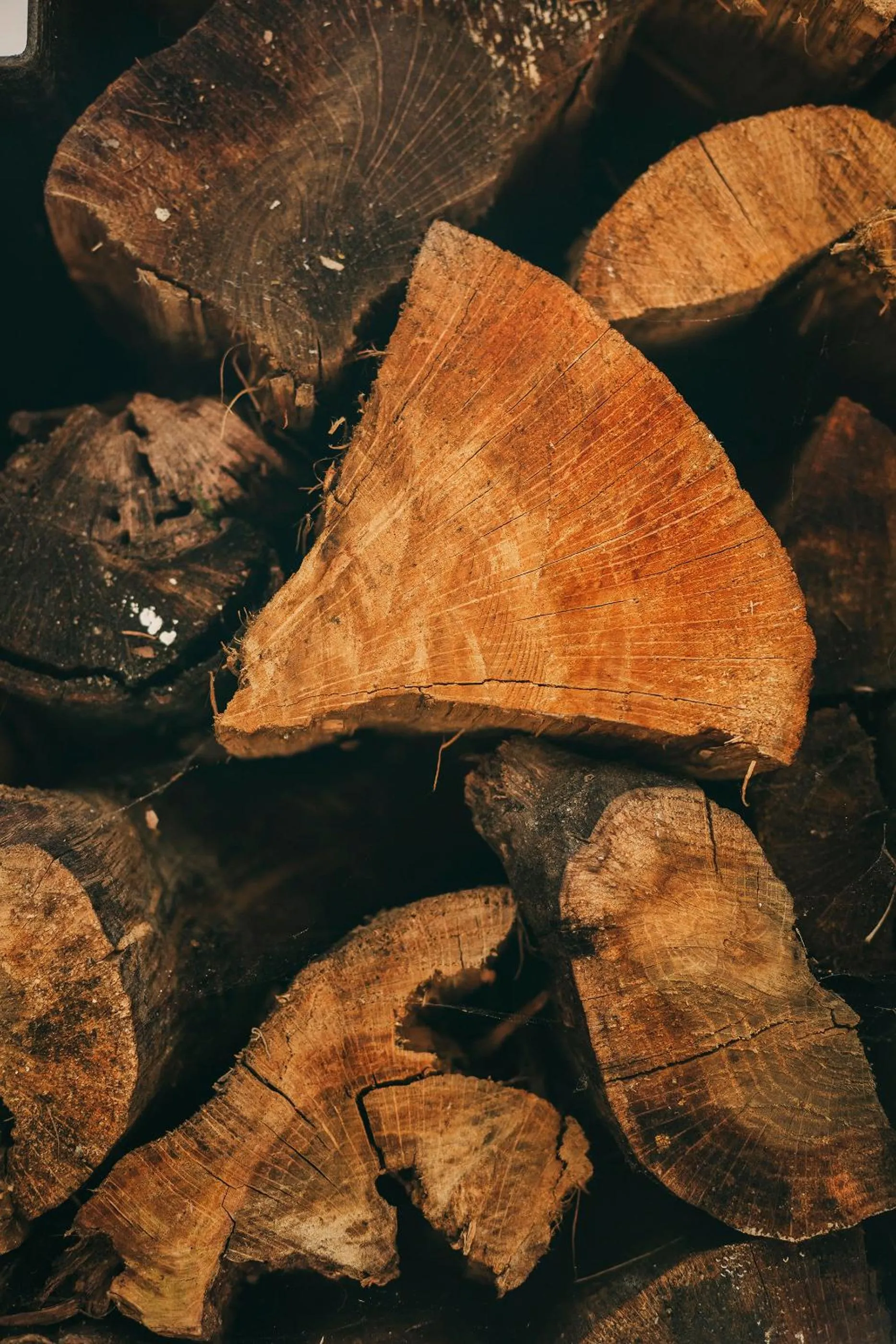Patio in Rosa Et Al Townhouse