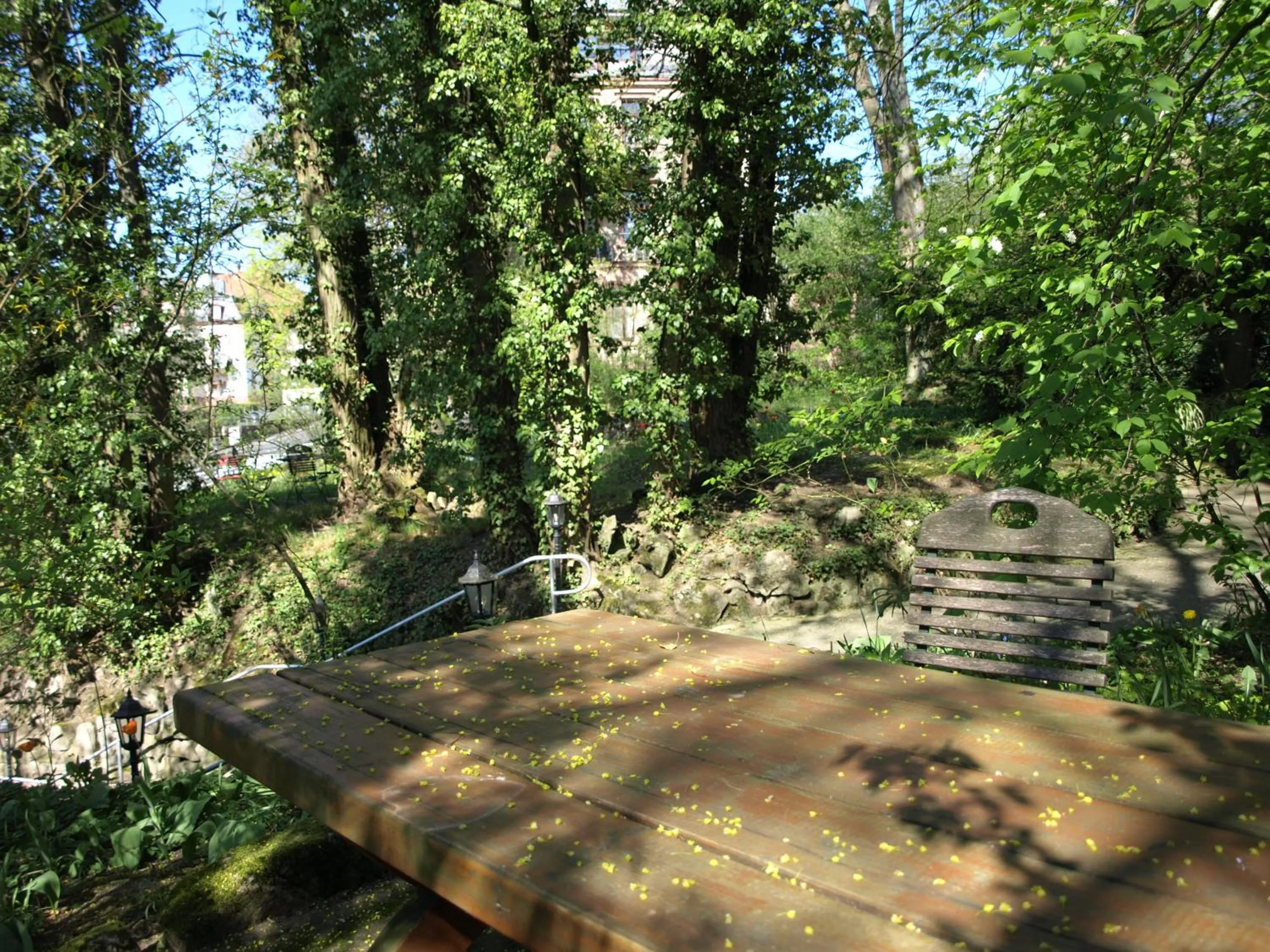 Garden in Hotel Villa Arnold