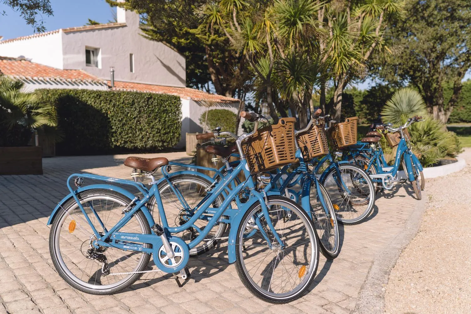 Spring in Fleur de Sel