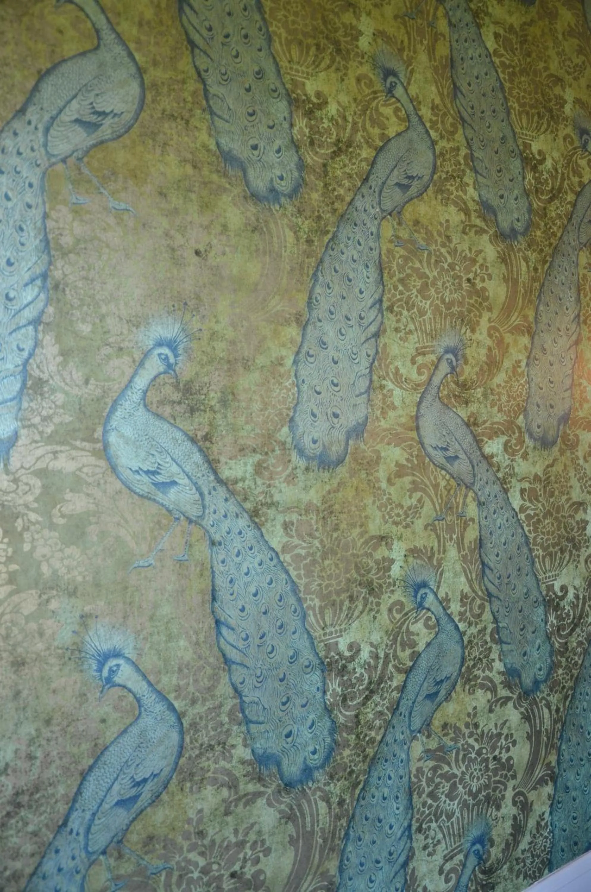 Decorative detail in Chambres d'Hôtes & SPA Le Chat Chez Qui j'Habite