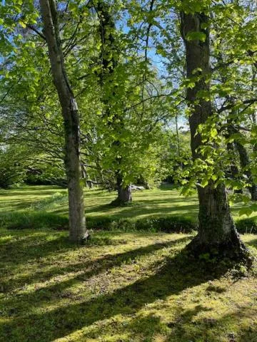 Natural landscape in Chambres d'Hôtes & SPA Le Chat Chez Qui j'Habite