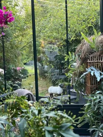 Garden view in Chambres d'Hôtes & SPA Le Chat Chez Qui j'Habite