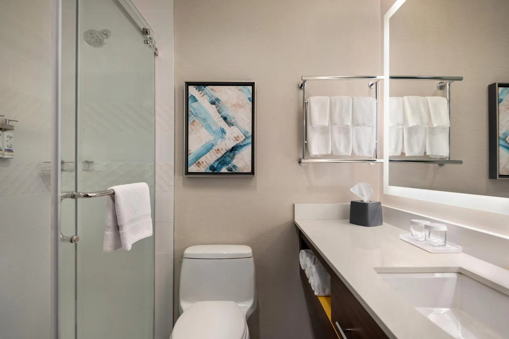 Bathroom in Holiday Inn & Suites Vancouver Downtown by IHG