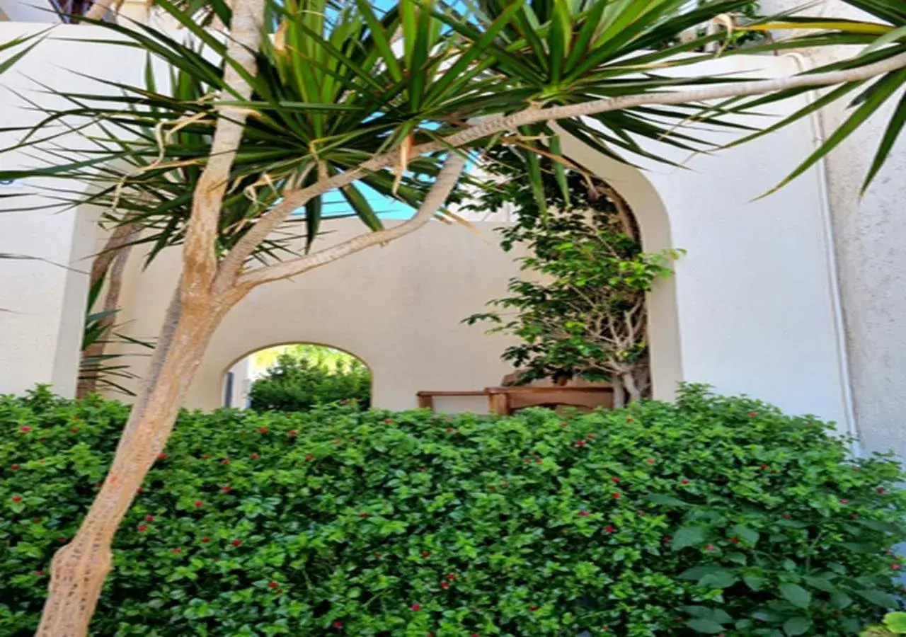 Smaragdine Beach Hotel Smaragdine Beach Hotel