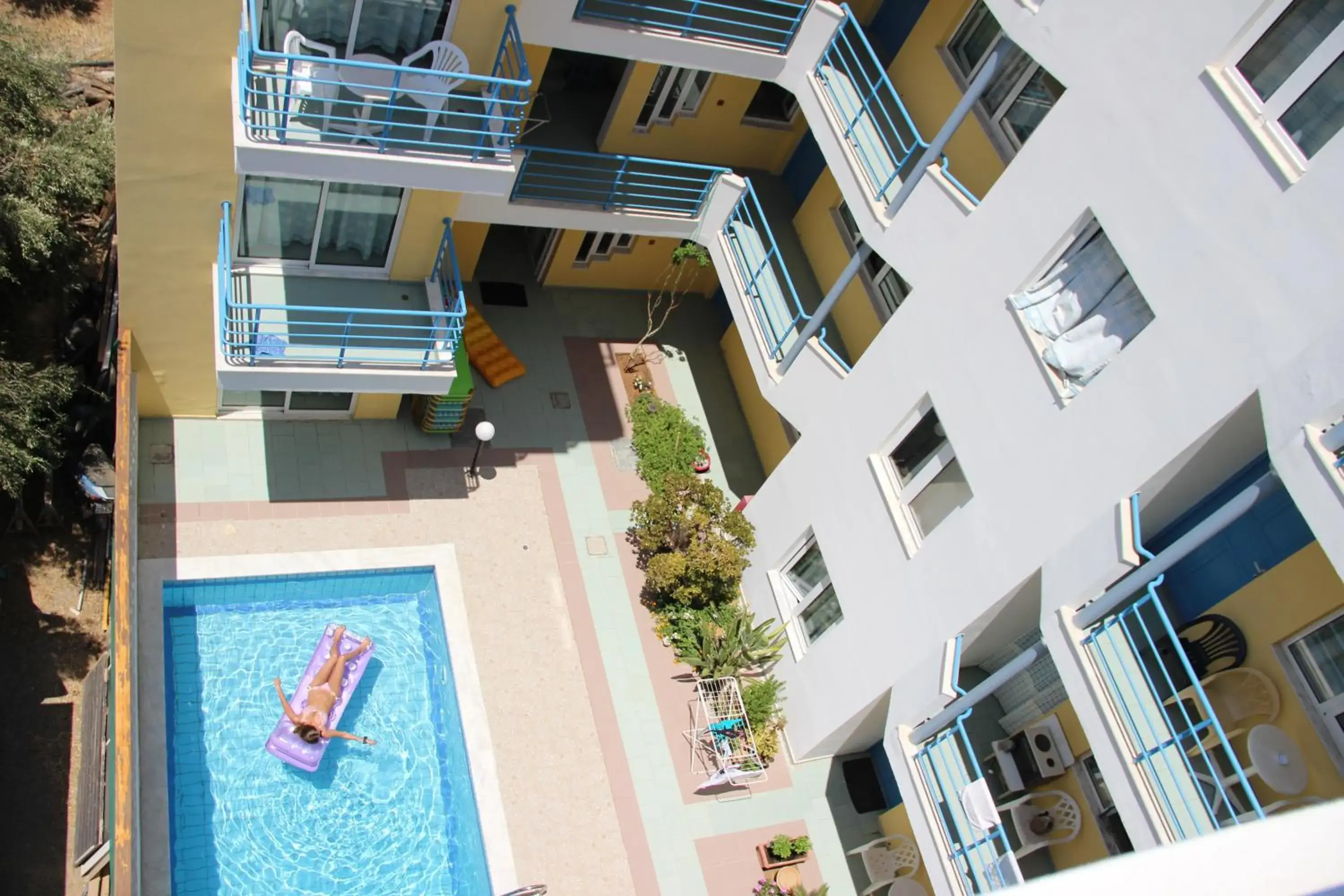 Pool view in Olympic Star Pool view in Olympic Star