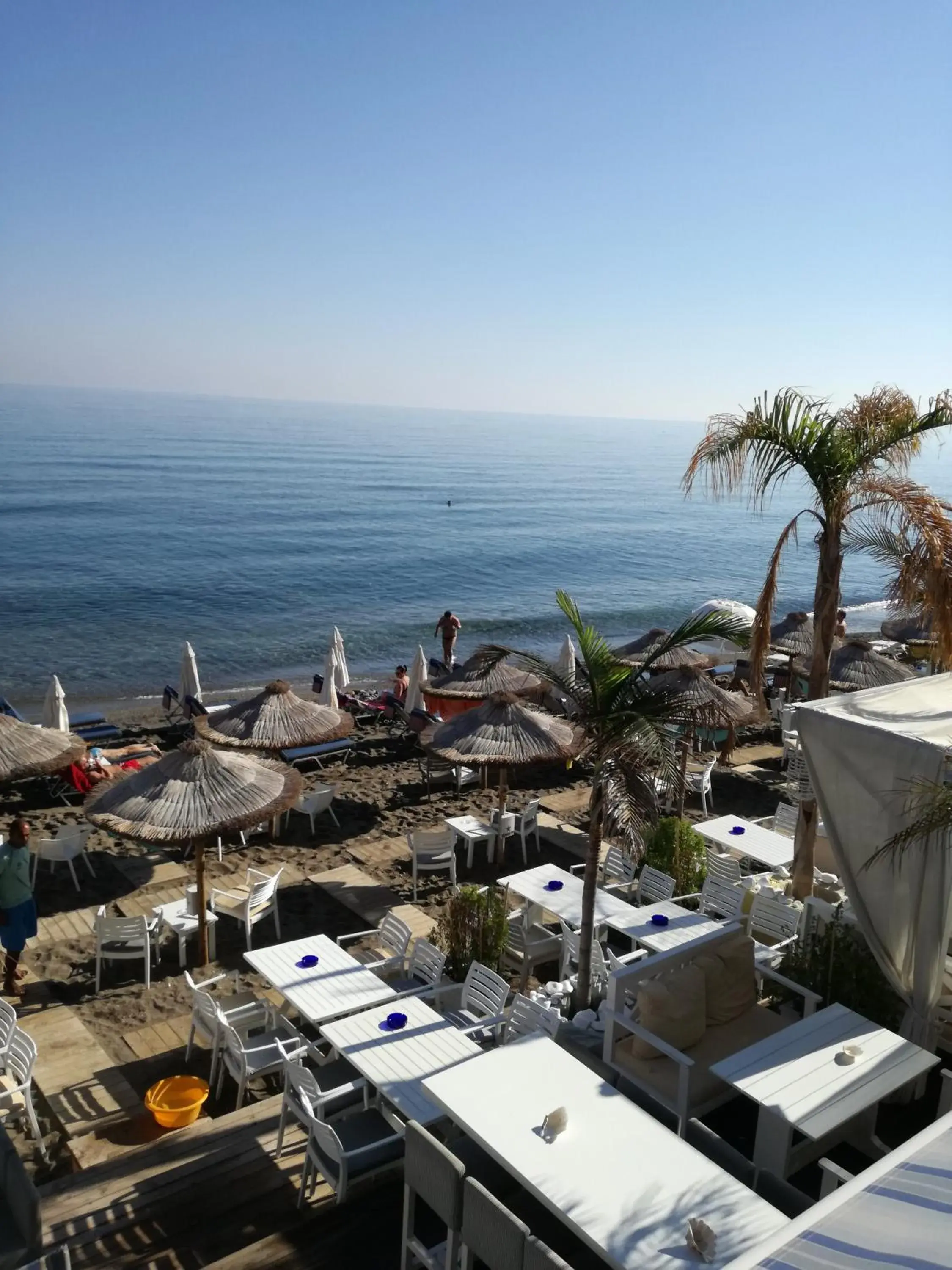 Restaurant/places to eat in Olympic Star Restaurant/places to eat in Olympic Star