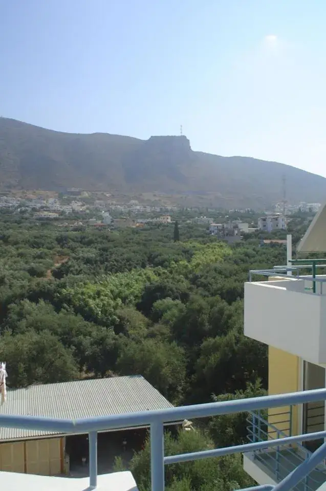 Mountain view in Olympic Star Mountain view in Olympic Star