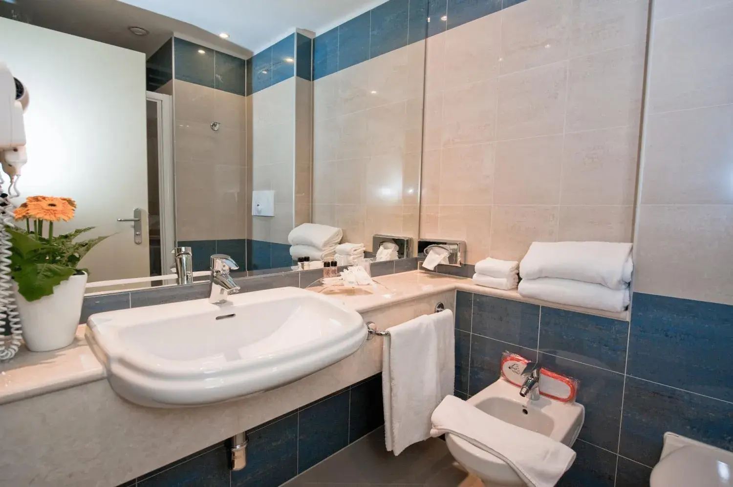 Comfort Twin Room - single occupancy in Hotel Rivarolo Comfort Twin Room - single occupancy in Hotel Rivarolo