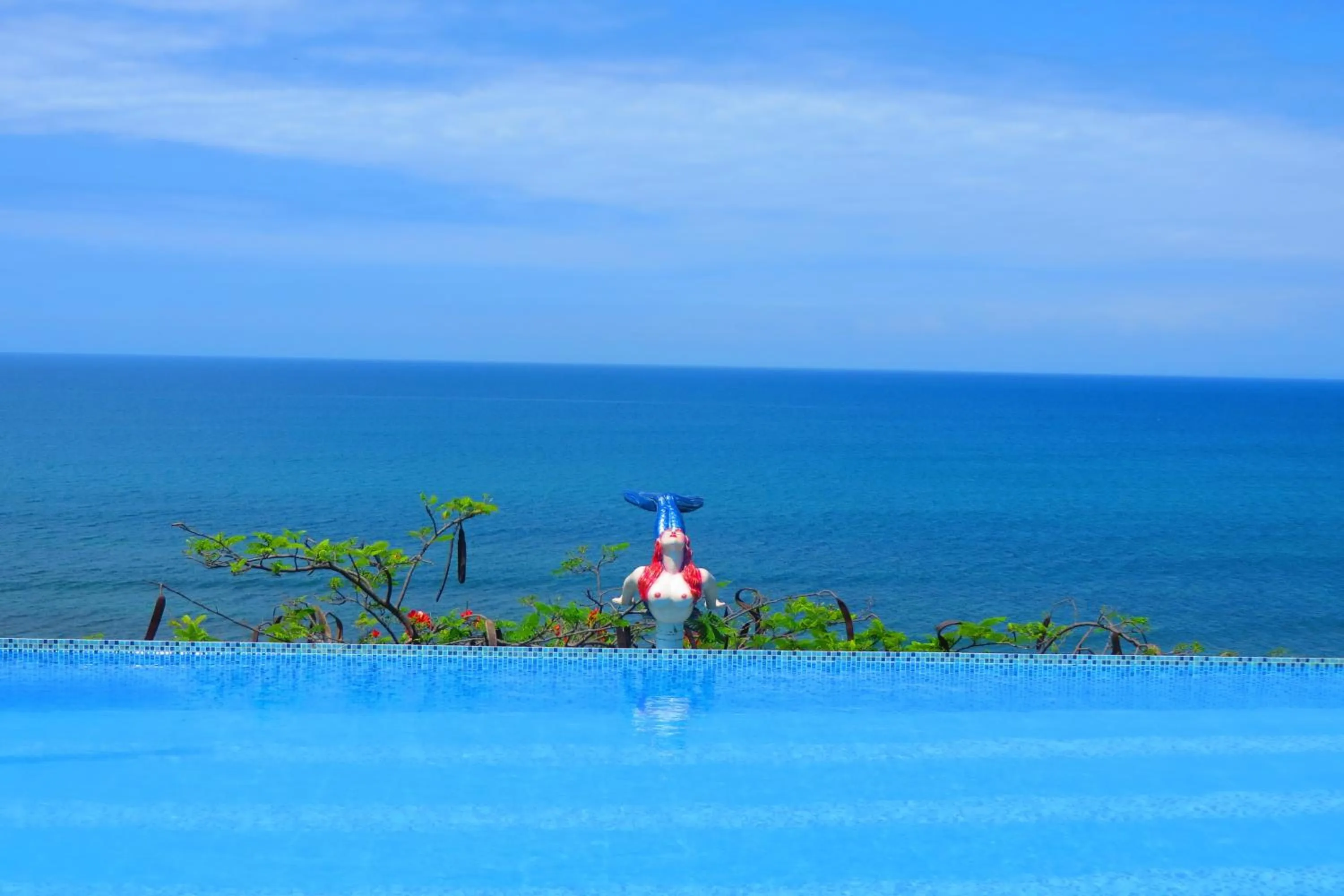 Swimming pool in Hosteria Farallon Dillon