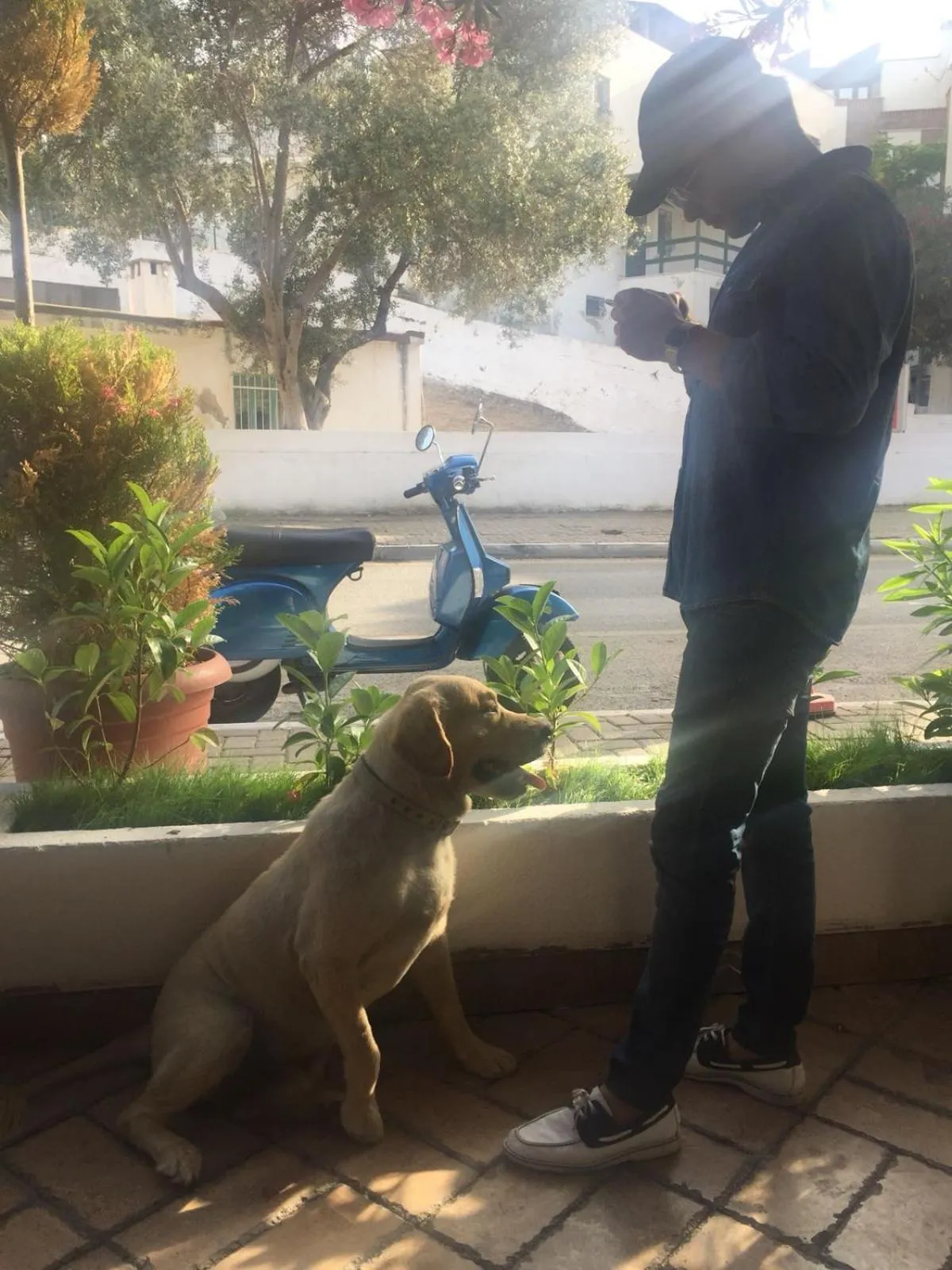 Camlikosk Apart Hotel