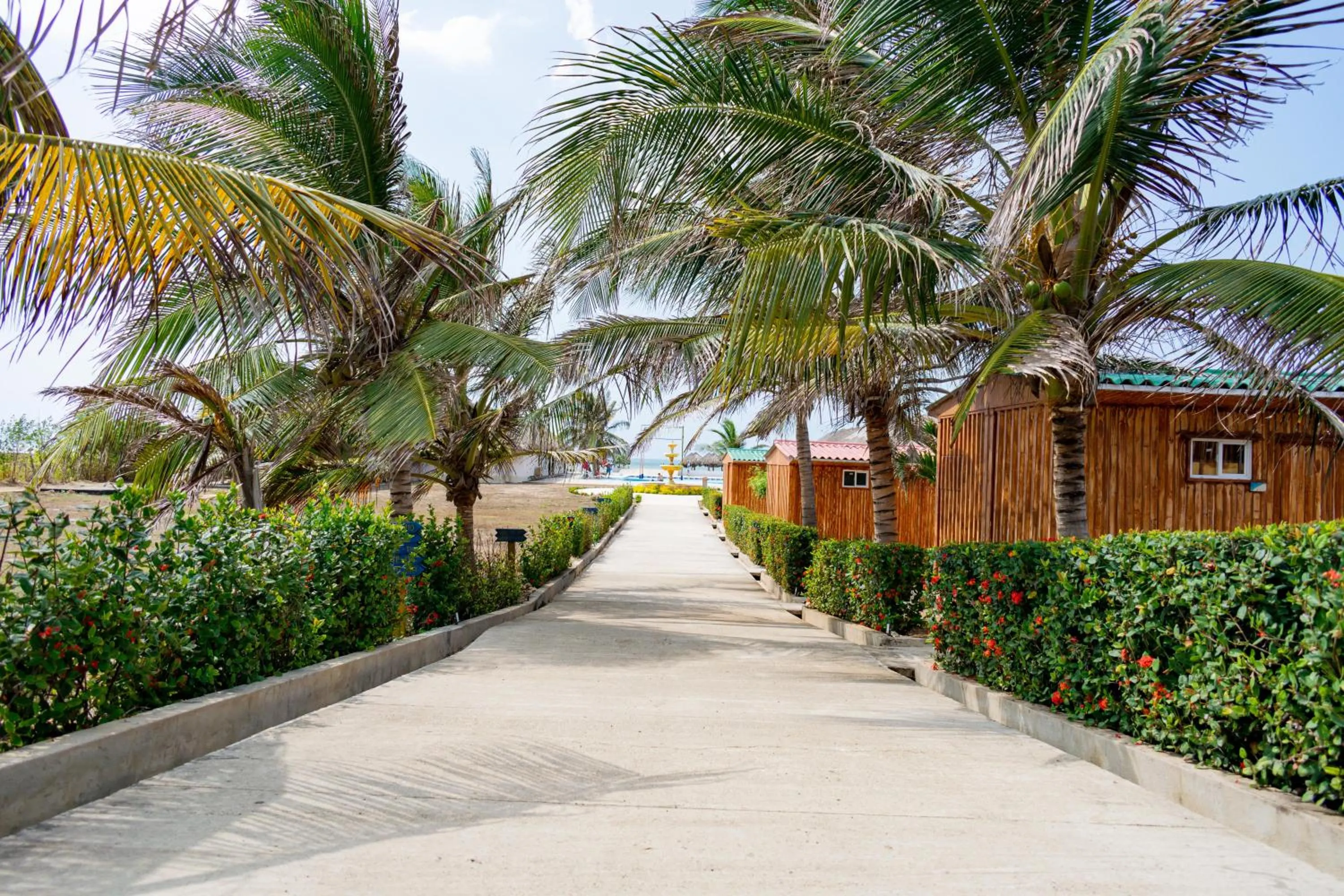 Garden in Hotel Arena Beach Cartagena
