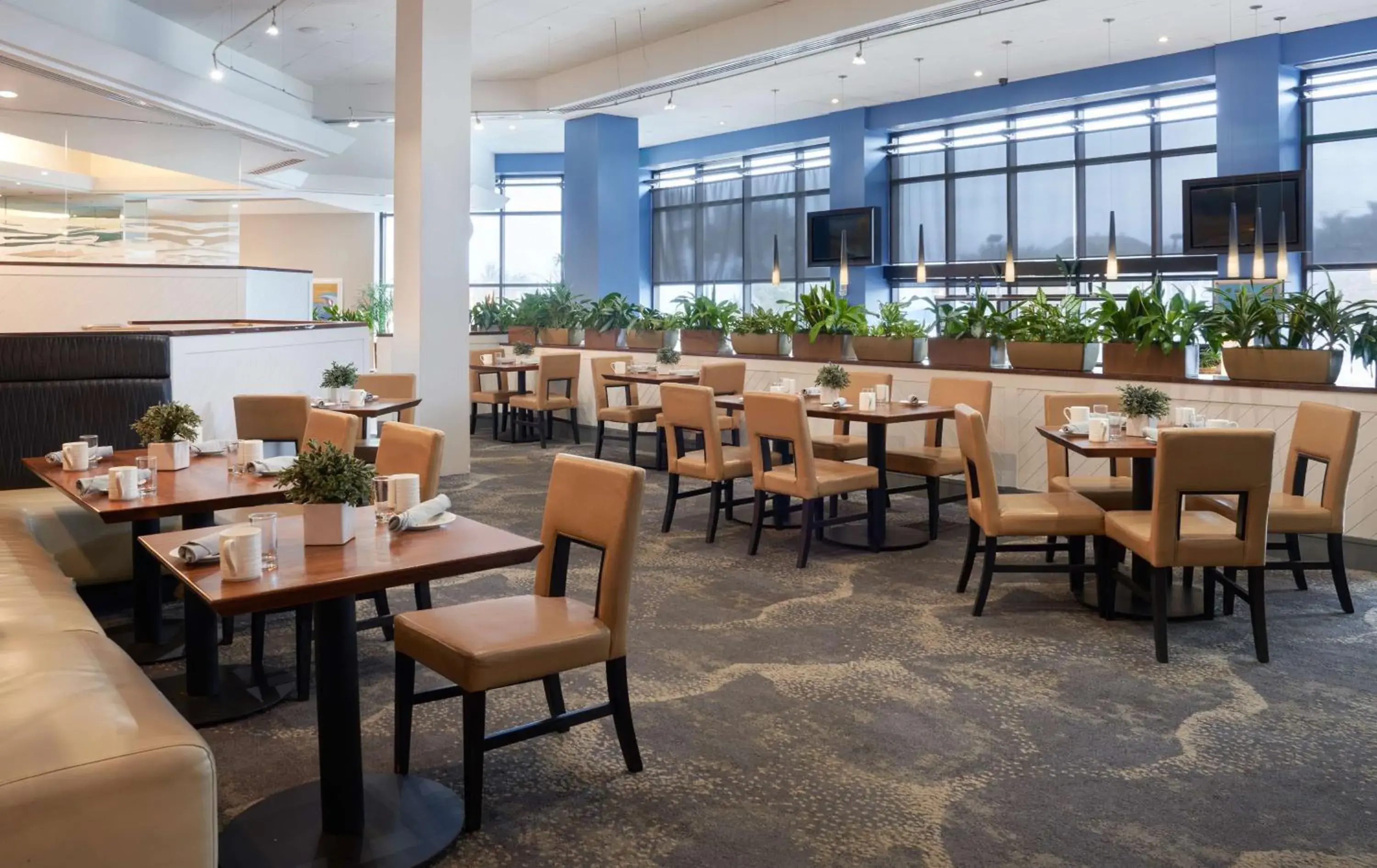 Restaurant/places to eat in Hilton Cocoa Beach Oceanfront Restaurant/places to eat in Hilton Cocoa Beach Oceanfront