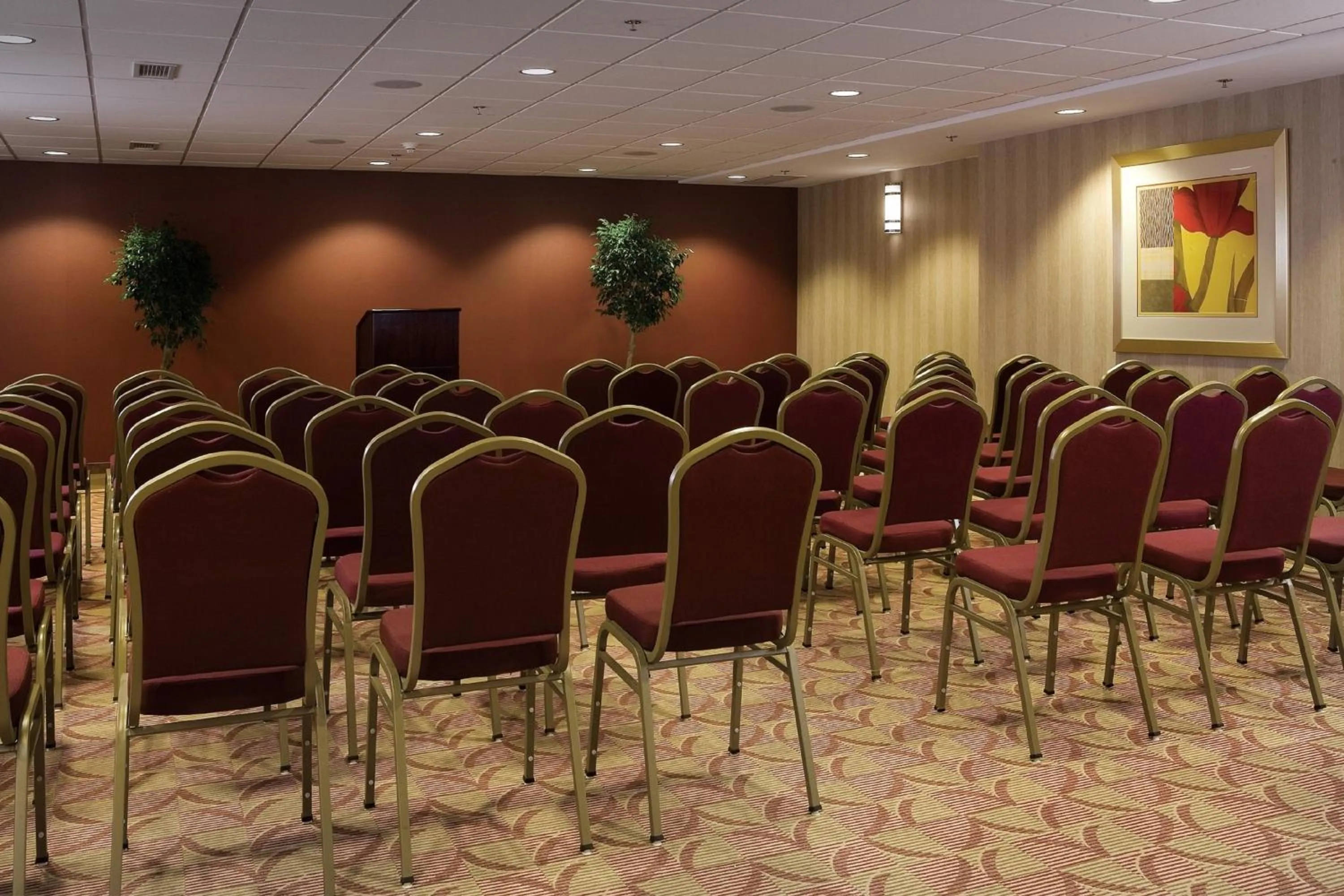 Banquet/Function facilities in Holiday Inn Express & Suites Charlottesville - Ruckersville by IHG