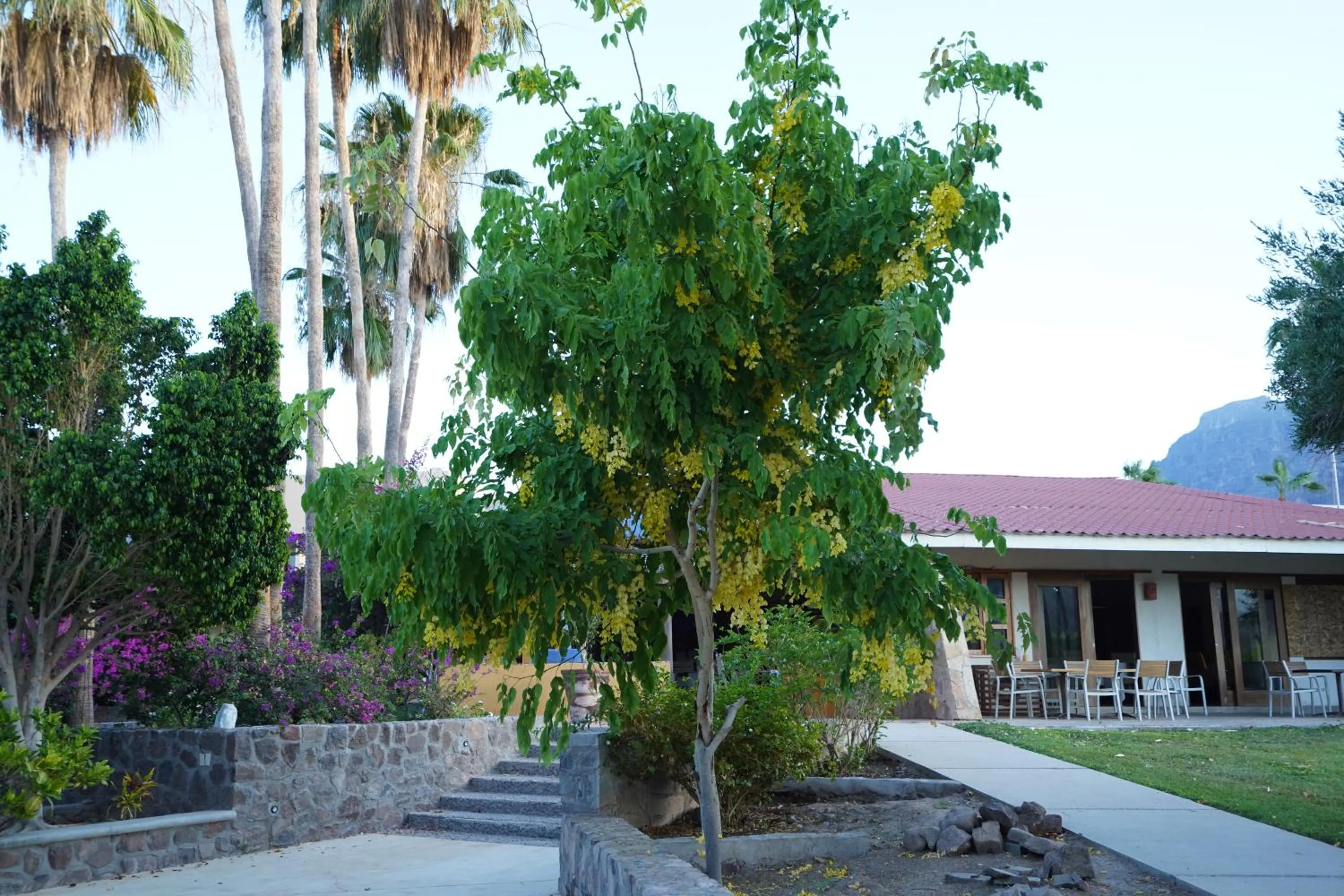 Property building in Tripui Hotel