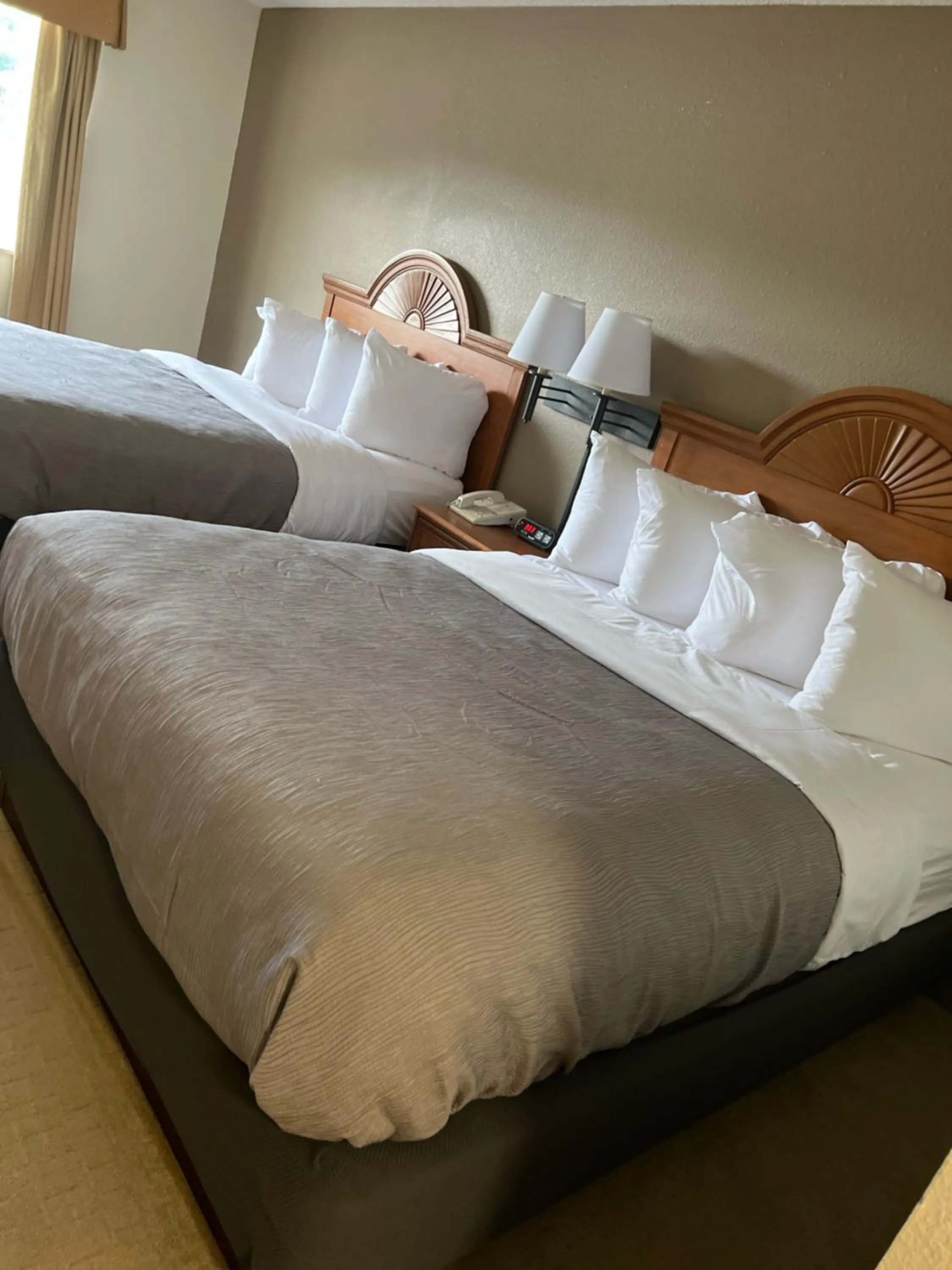 Bed in Super 8 by Wyndham Huntington WV