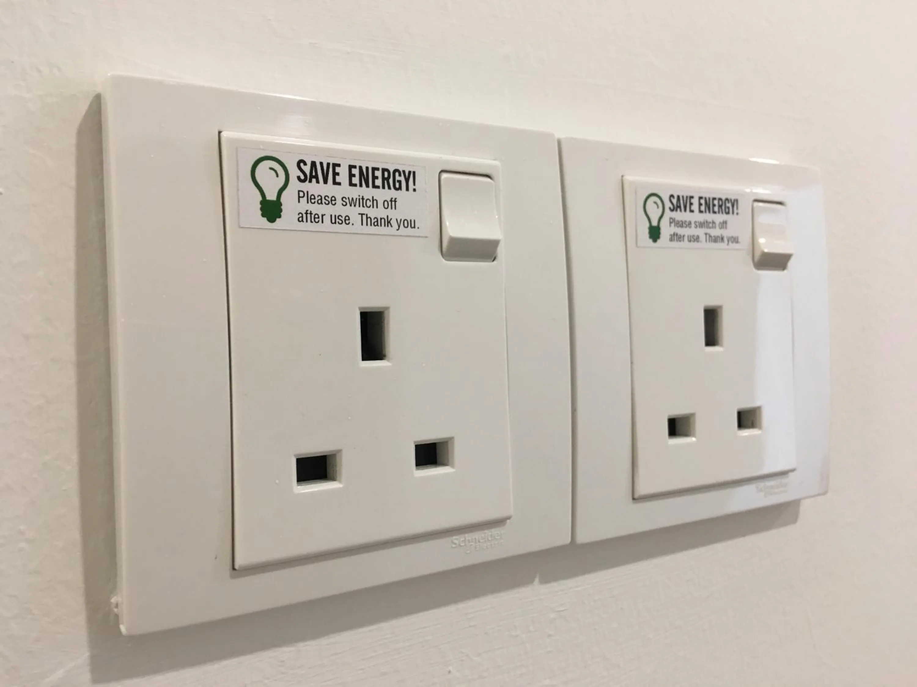 Area and facilities in Signel Hostel