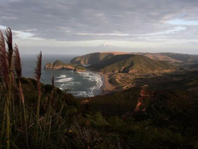 Day in Bethells Beach Cottages