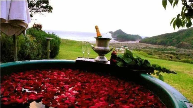 Day in Bethells Beach Cottages