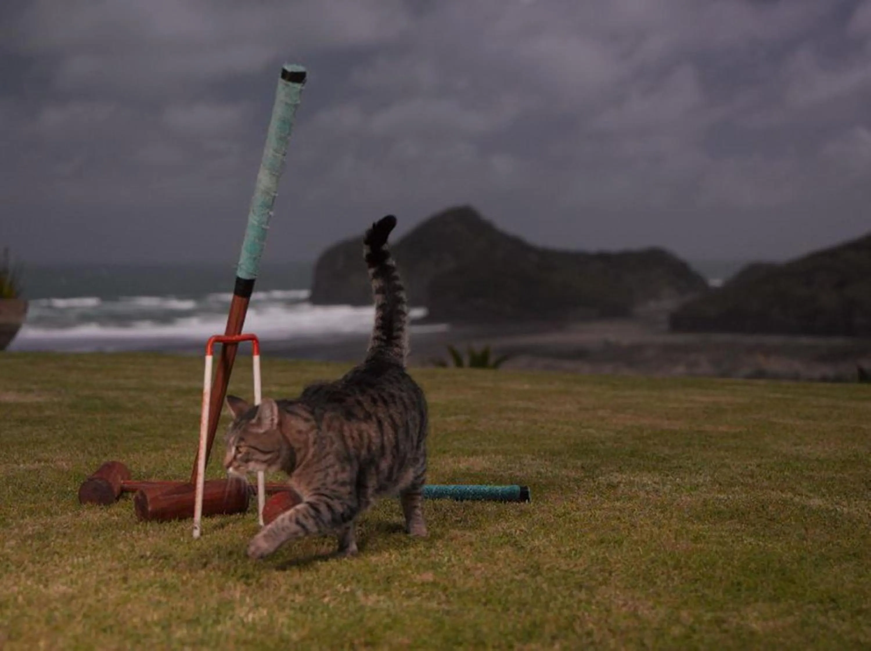 Night in Bethells Beach Cottages