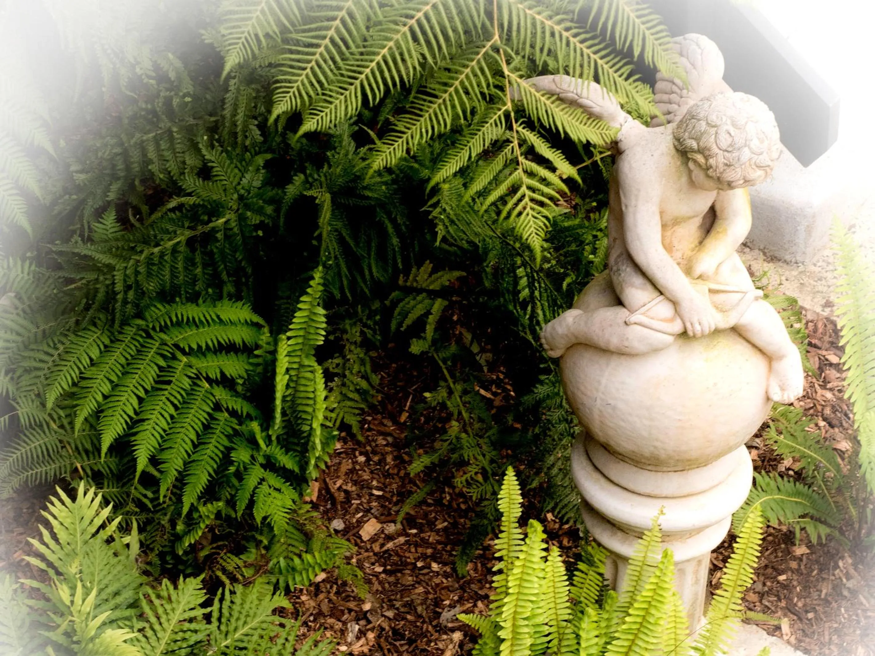 Garden in Glenview Retreat Luxury Accommodation