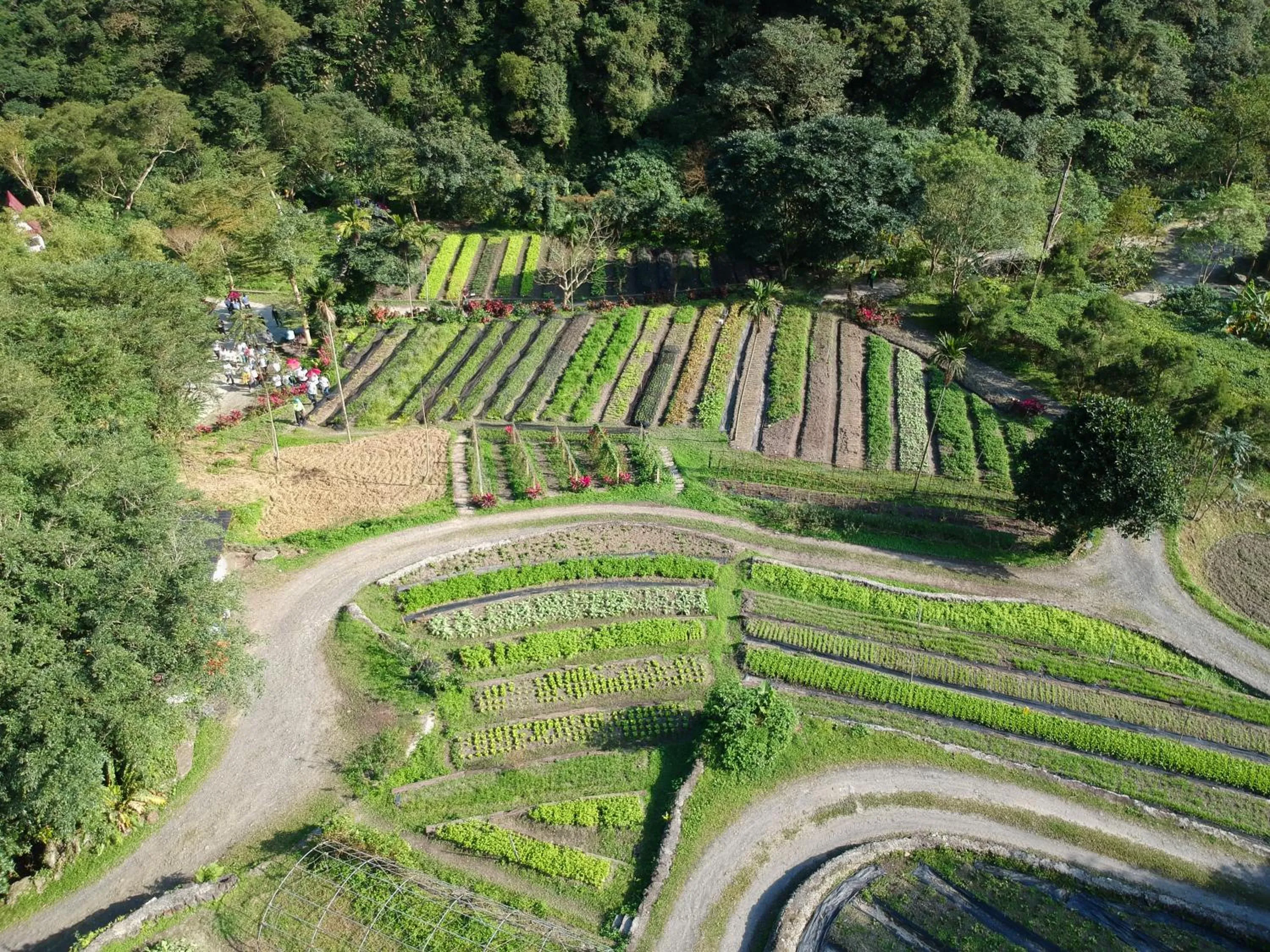 Tou-Cheng Leisure Farm Hotel