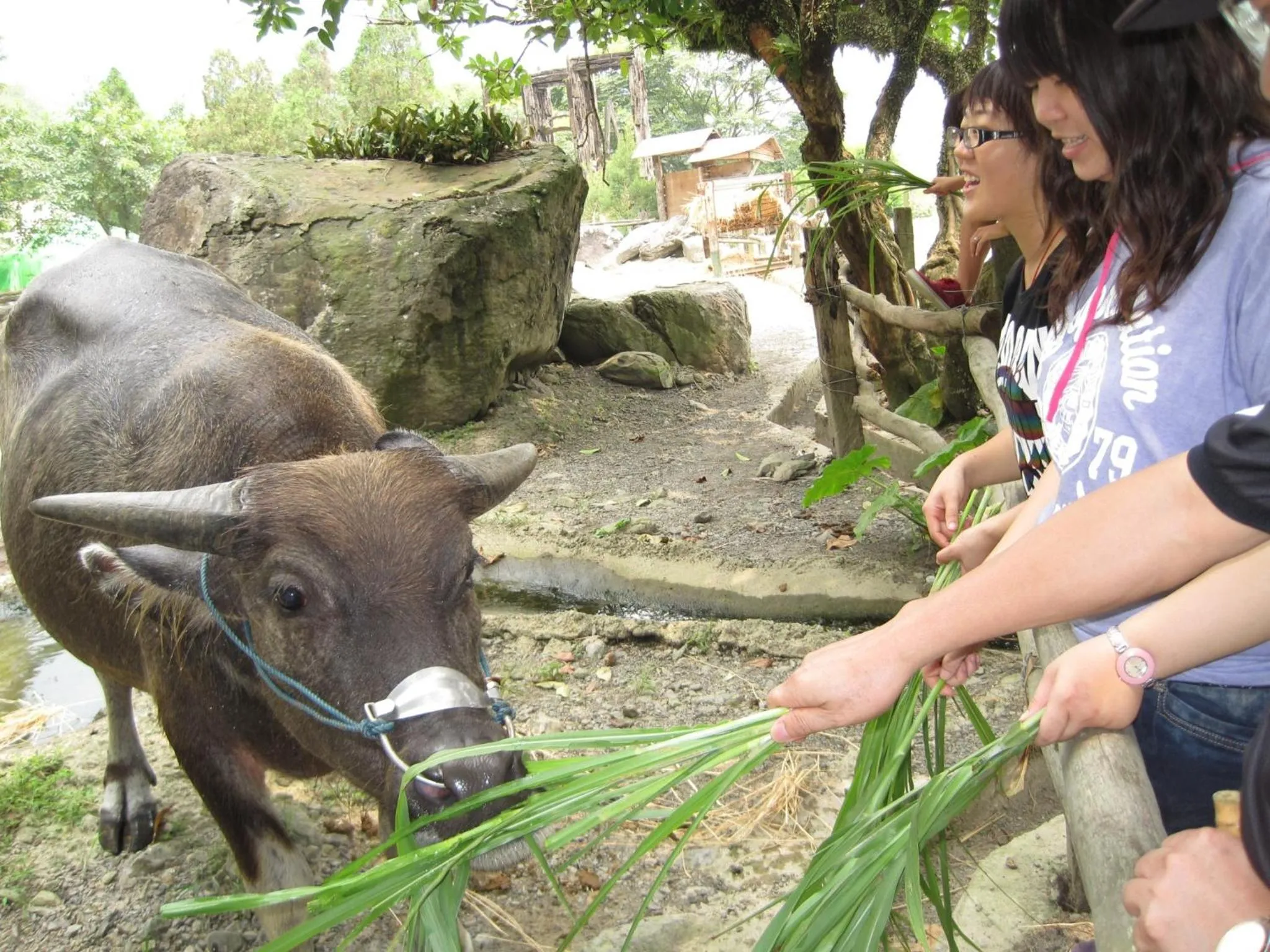 Tou-Cheng Leisure Farm Hotel