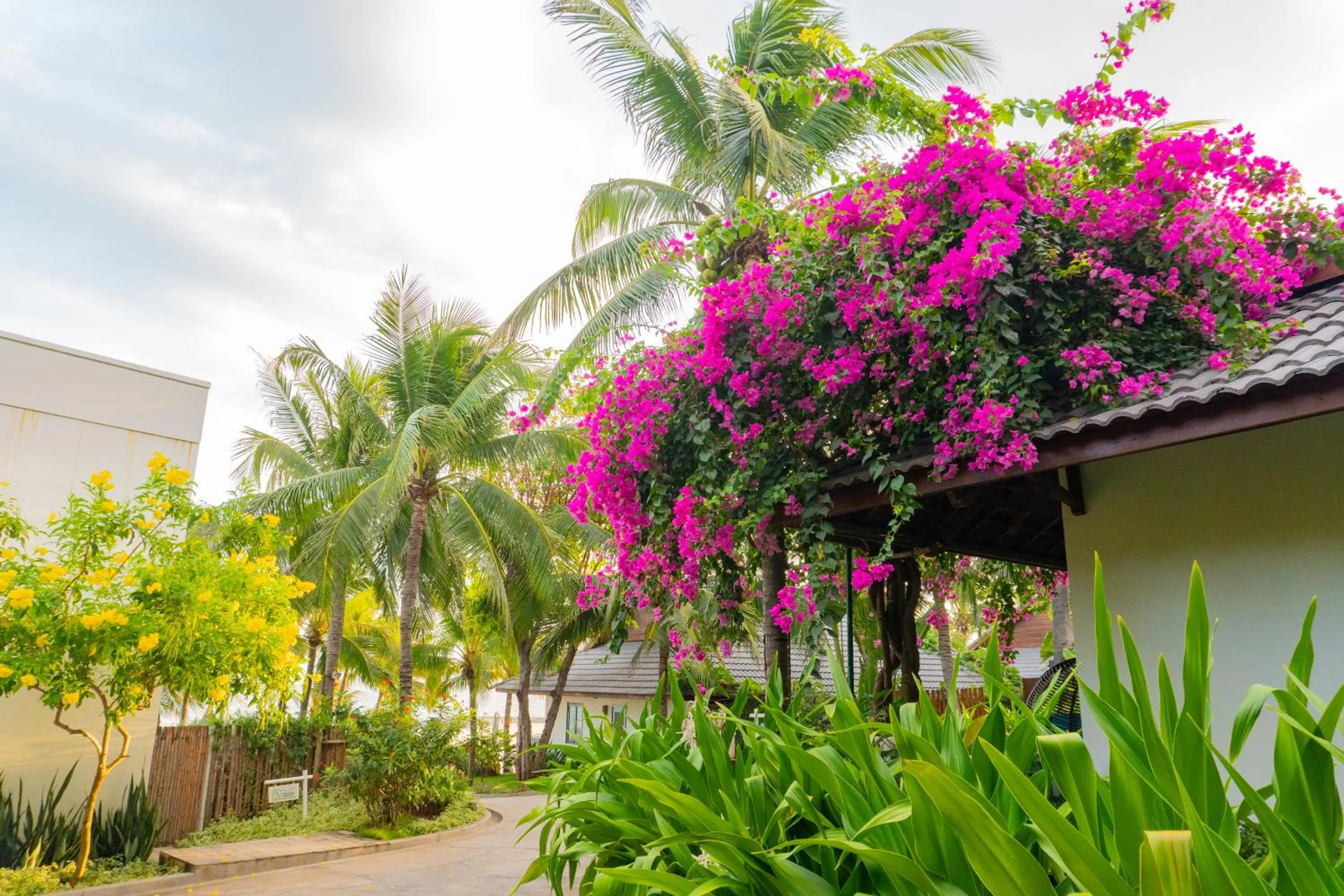 View (from property/room) in The Cliff Resort & Residences