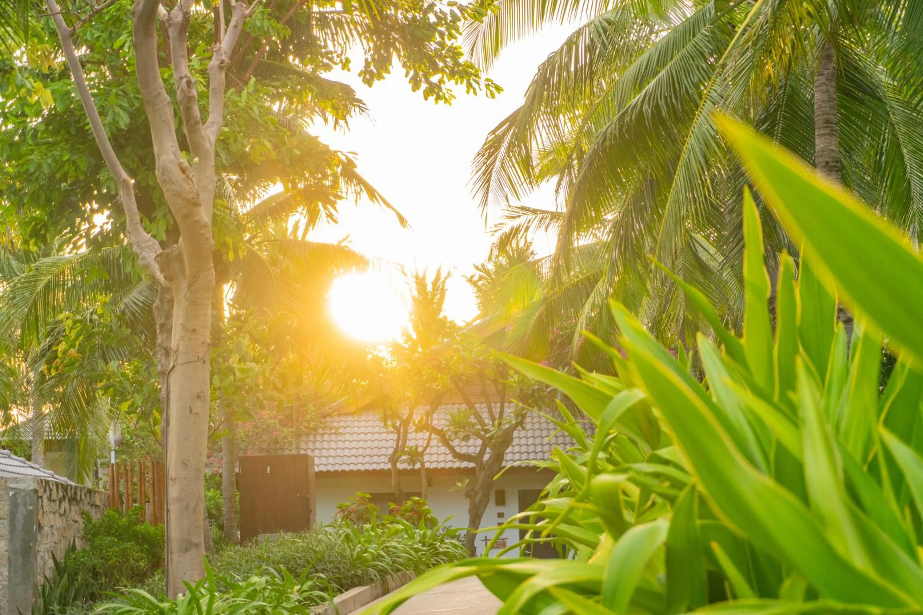 View (from property/room) in The Cliff Resort & Residences